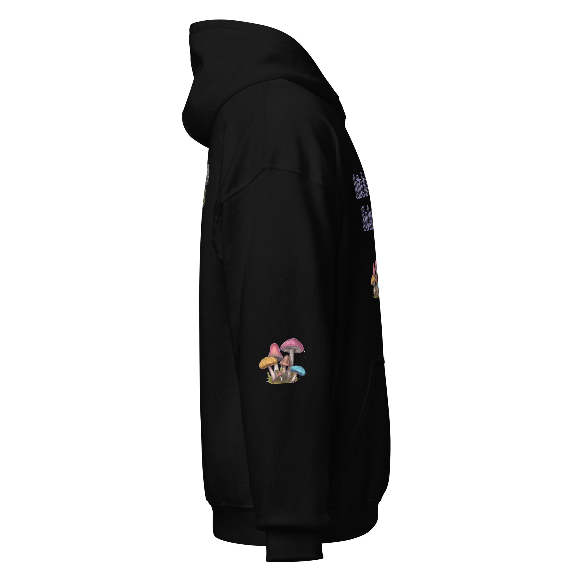 unisex-heavy-blend-hoodie-black-right-6a97668f12ed2.png