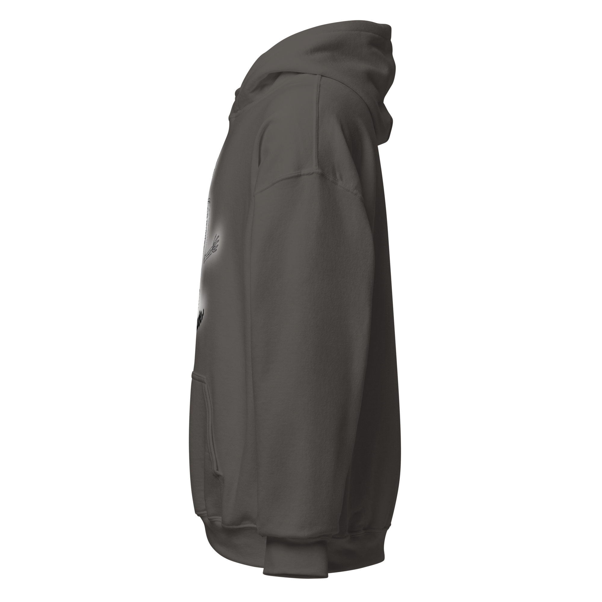 unisex-heavy-blend-hoodie-charcoal-left-6a9765ecee3a0.png
