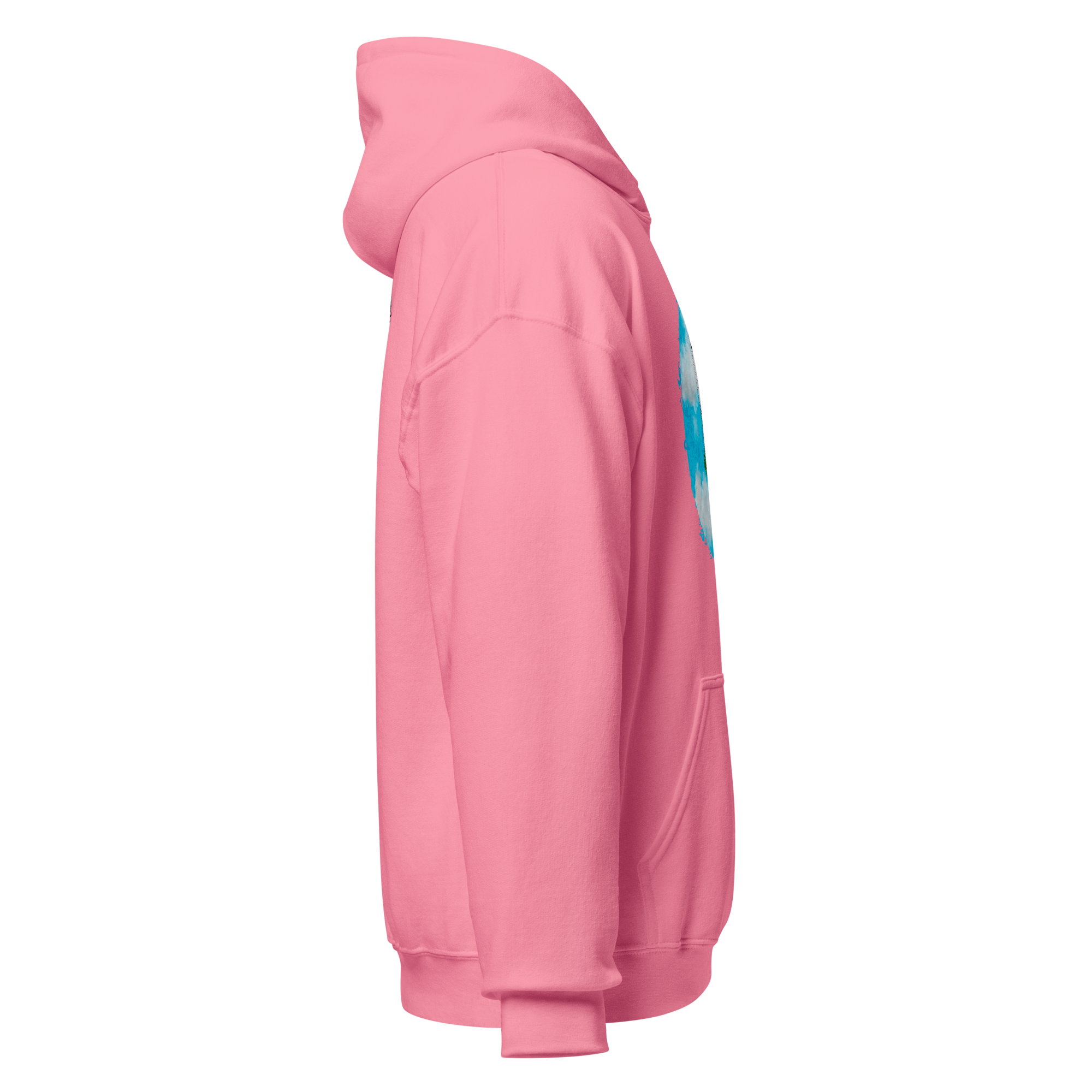 unisex-heavy-blend-hoodie-azalea-right-6a976242d45da.png
