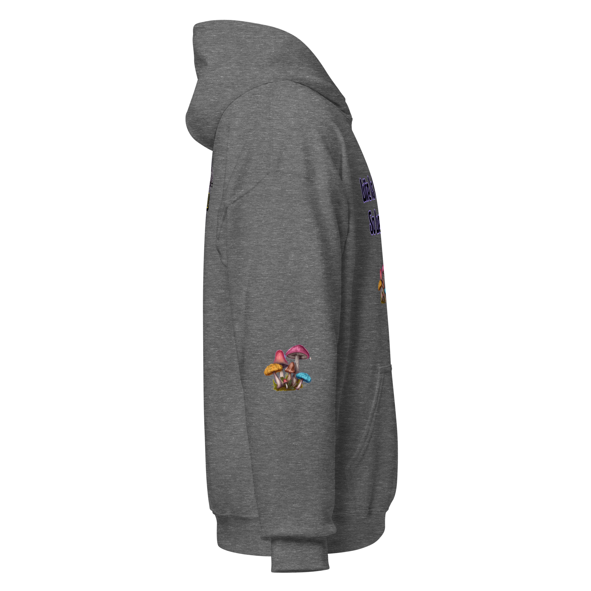 unisex-heavy-blend-hoodie-graphite-heather-right-6a97668f1310e.png