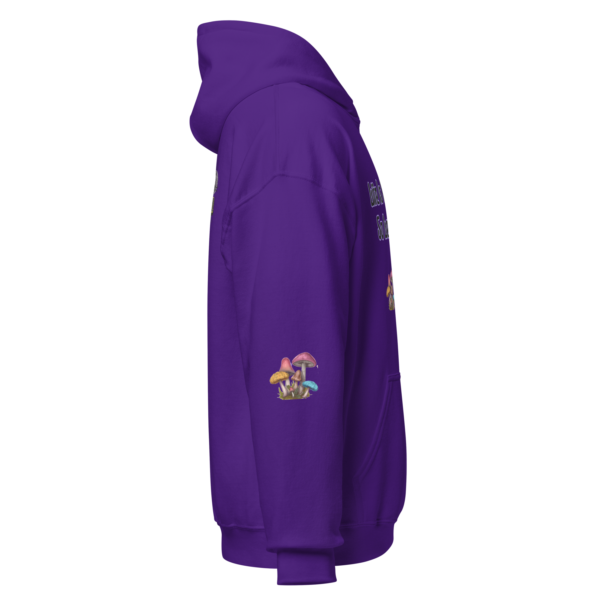 unisex-heavy-blend-hoodie-purple-right-6a97668f130d2.png