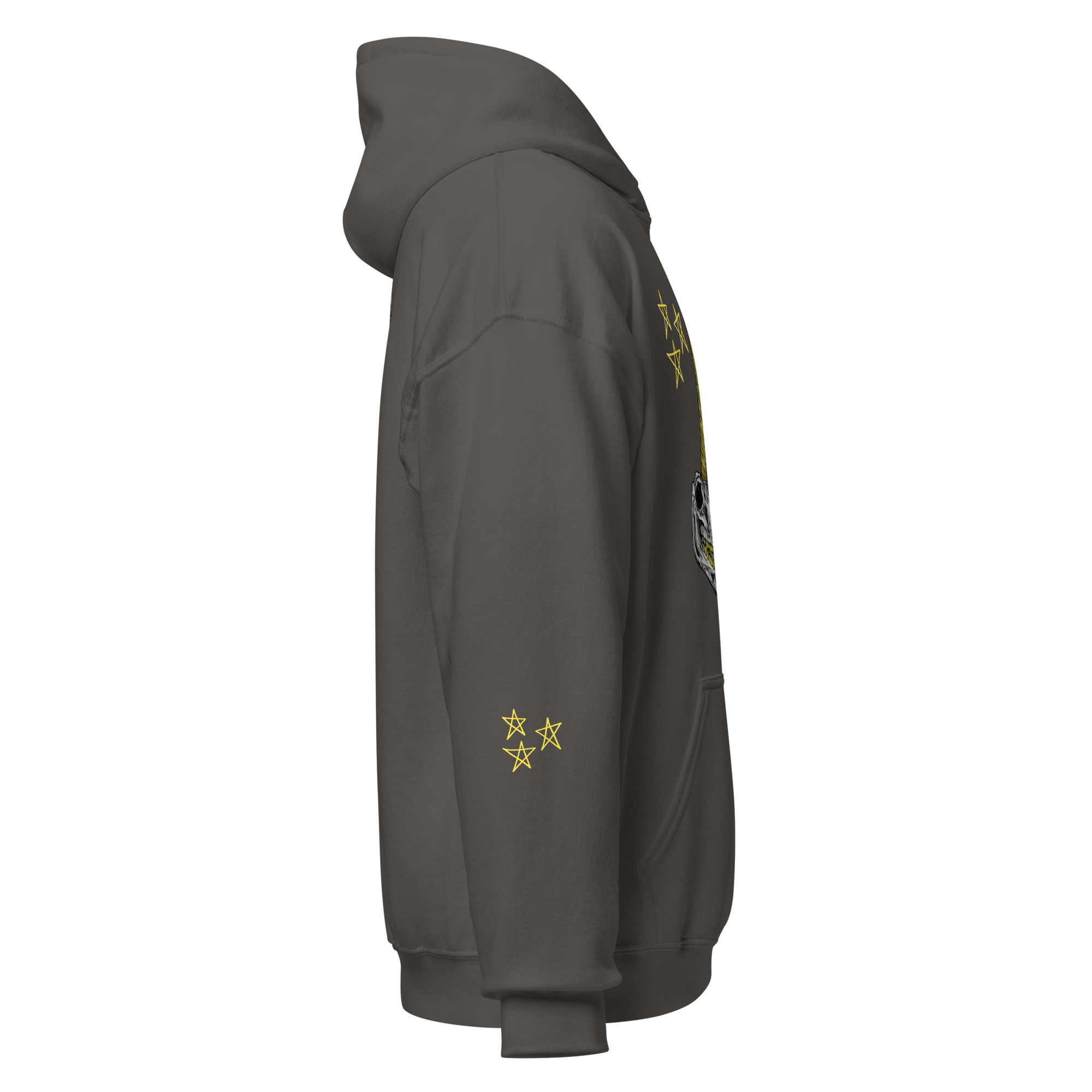 unisex-heavy-blend-hoodie-charcoal-right-6a975fbedf206.png
