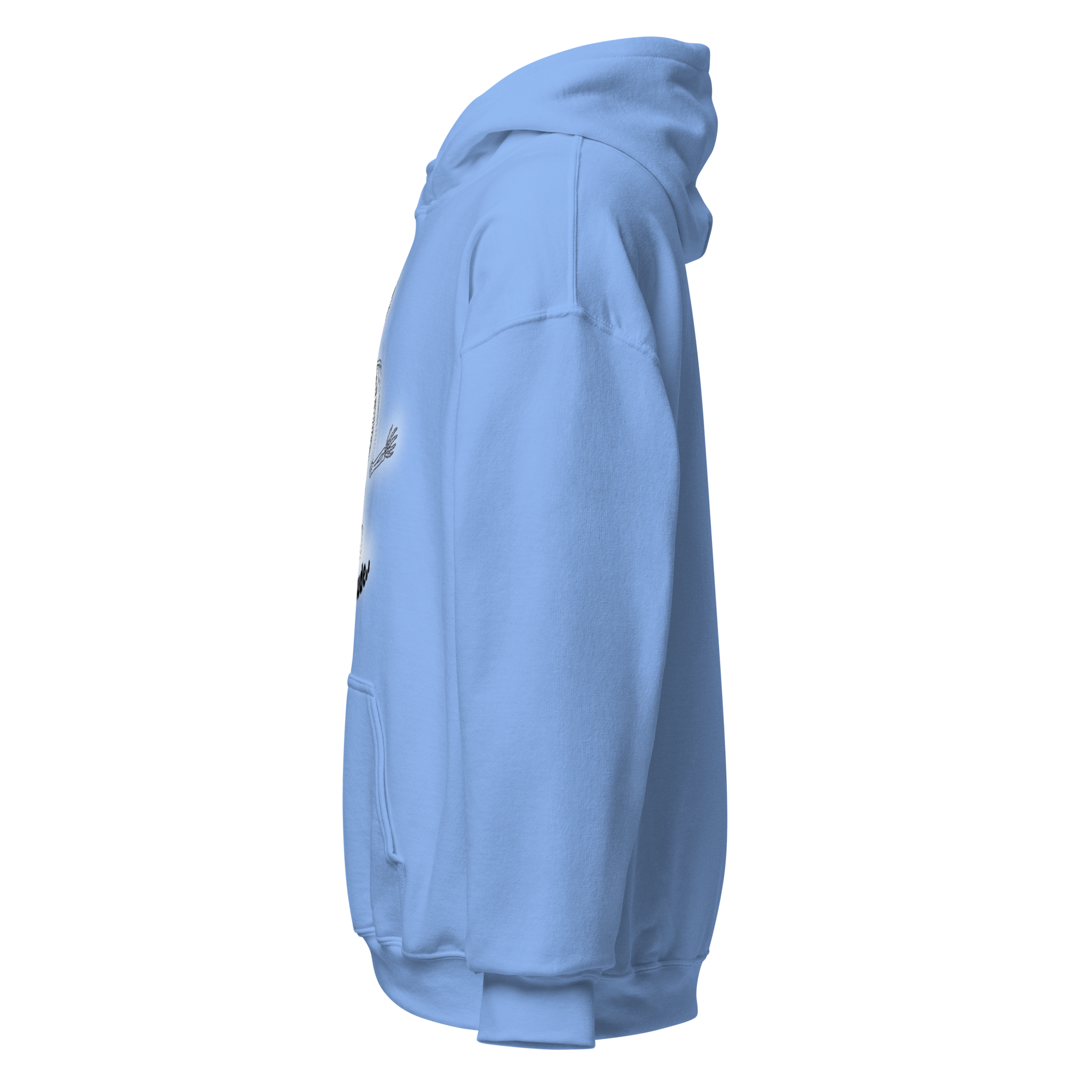 unisex-heavy-blend-hoodie-carolina-blue-left-6a9765ecee36c.png