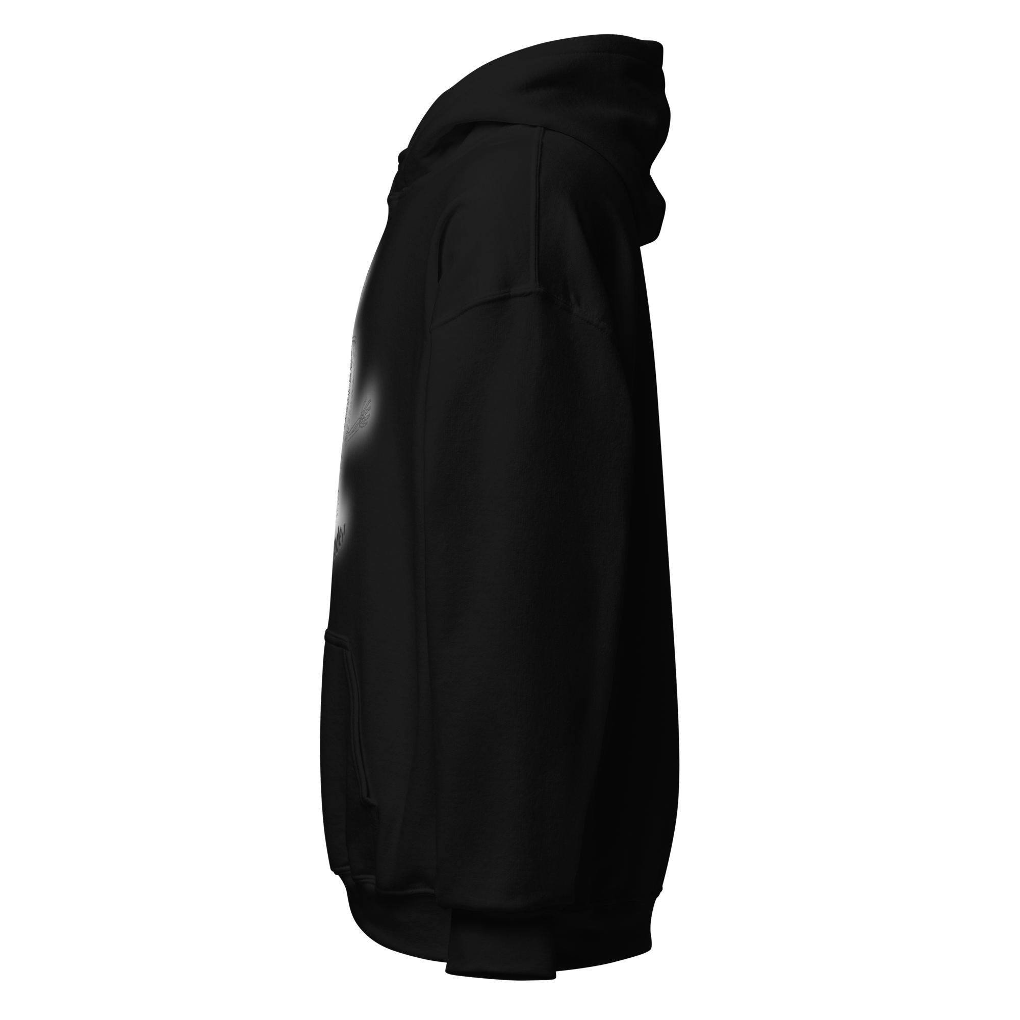 unisex-heavy-blend-hoodie-black-left-6a9765ecee337.png