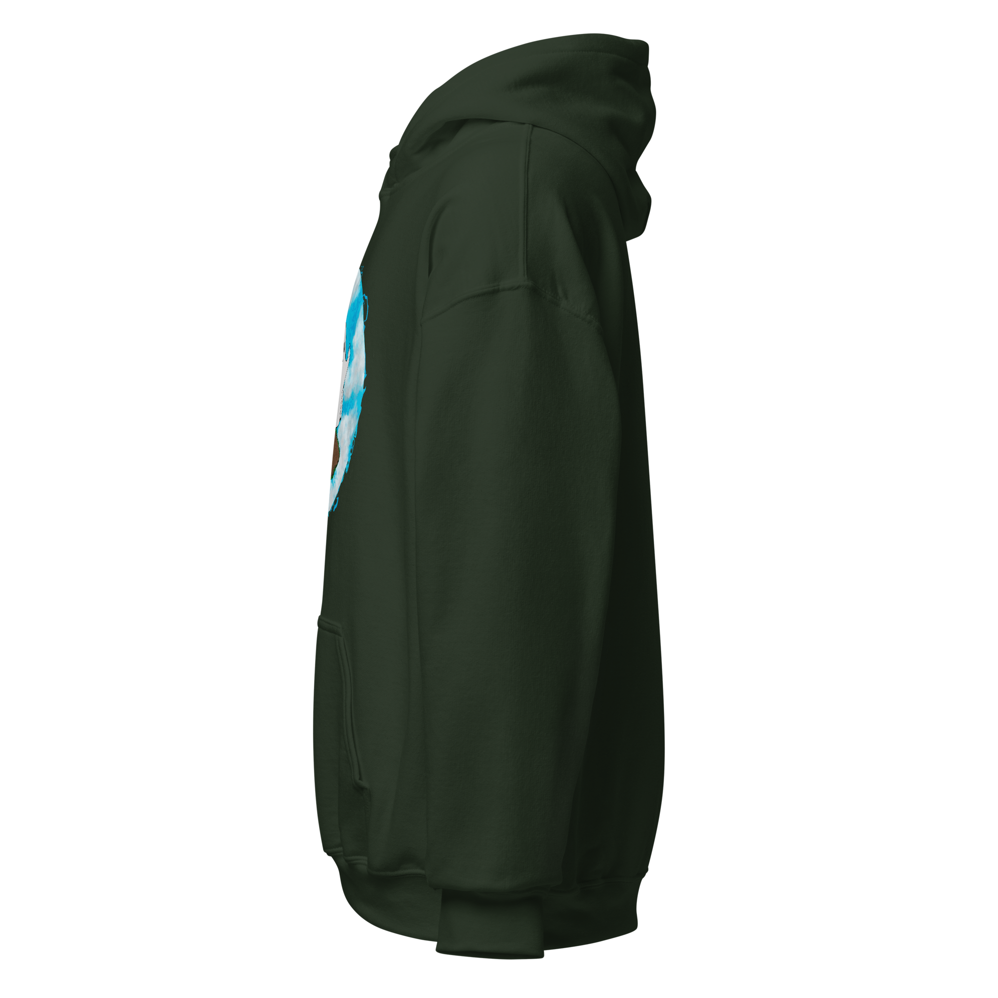 unisex-heavy-blend-hoodie-forest-green-left-6a976242d3e00.png