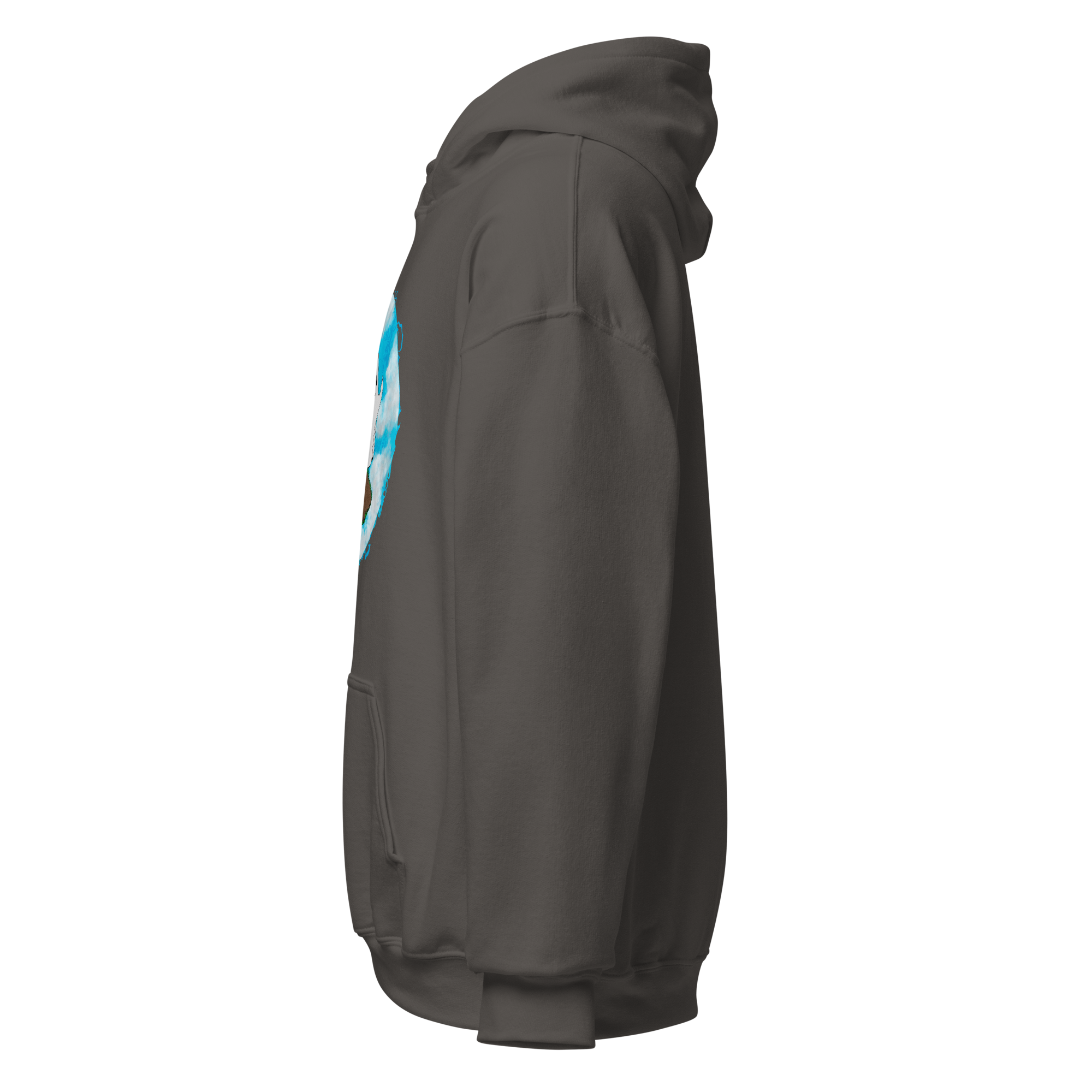 unisex-heavy-blend-hoodie-charcoal-left-6a976242d3dcc.png