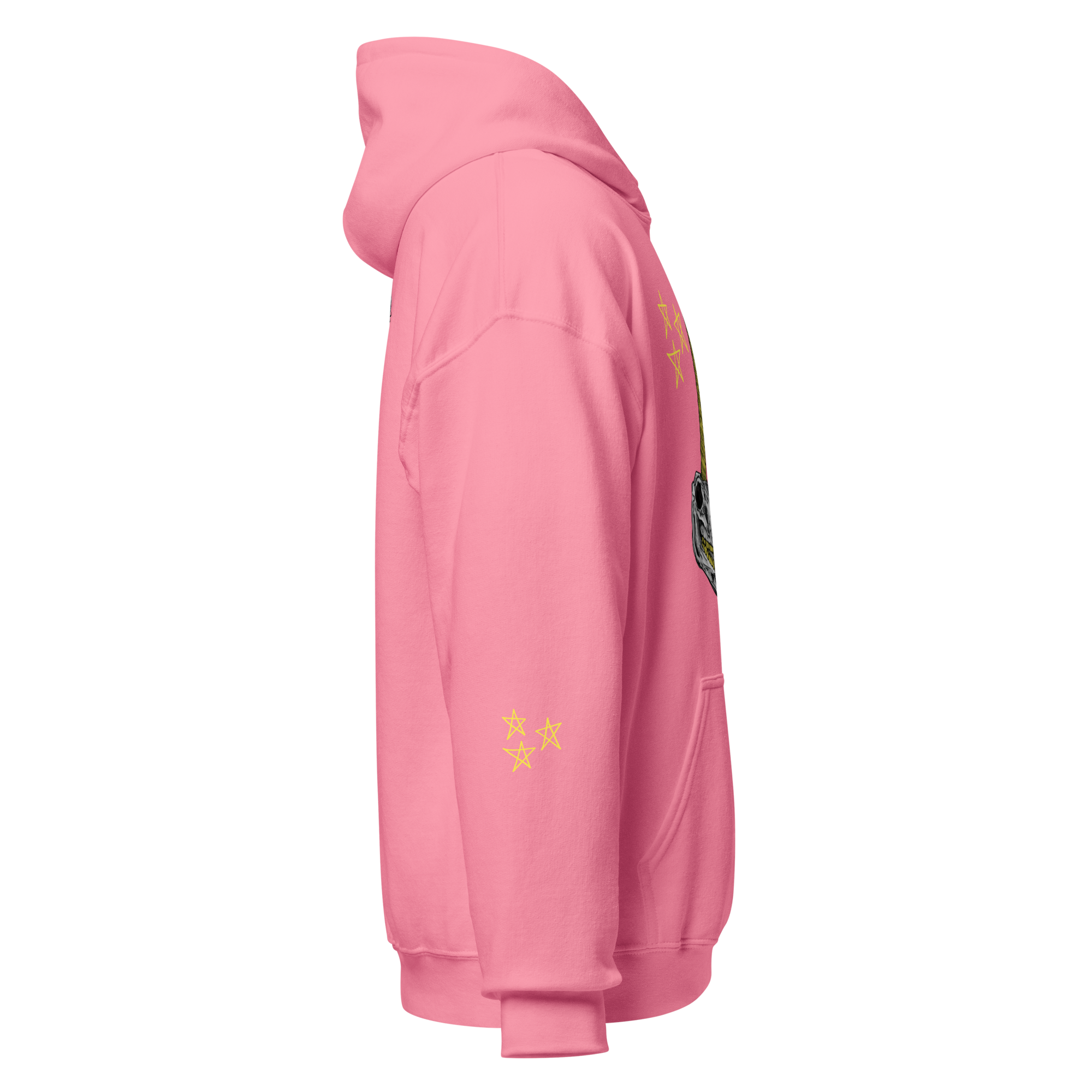 unisex-heavy-blend-hoodie-azalea-right-6a975fbedf41d.png
