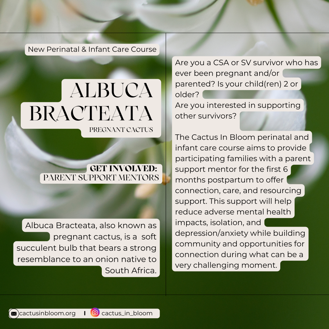 Neutral Minimal New Service Business Instagram Post (5).png