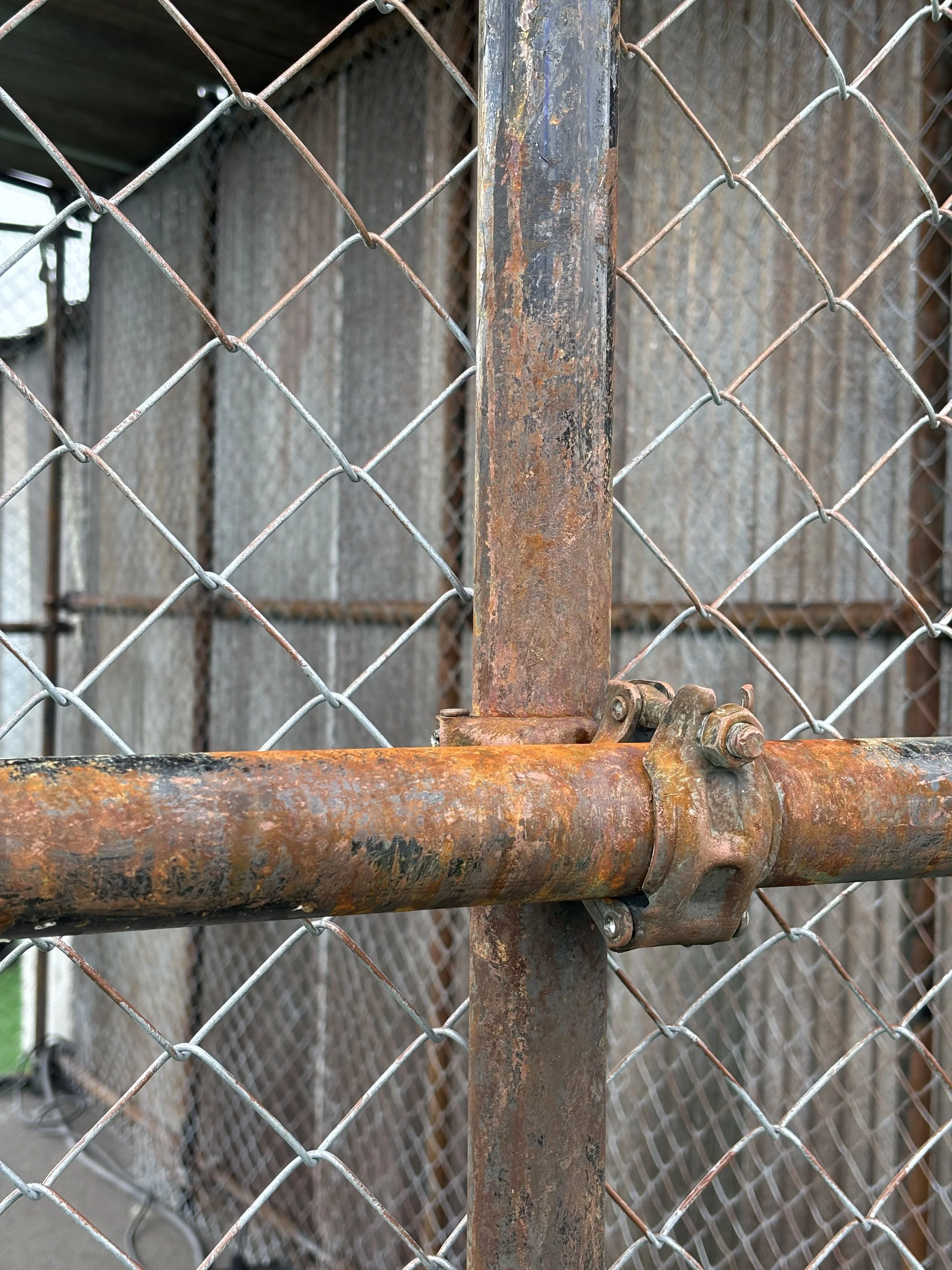 Niteharts Festival, 2025