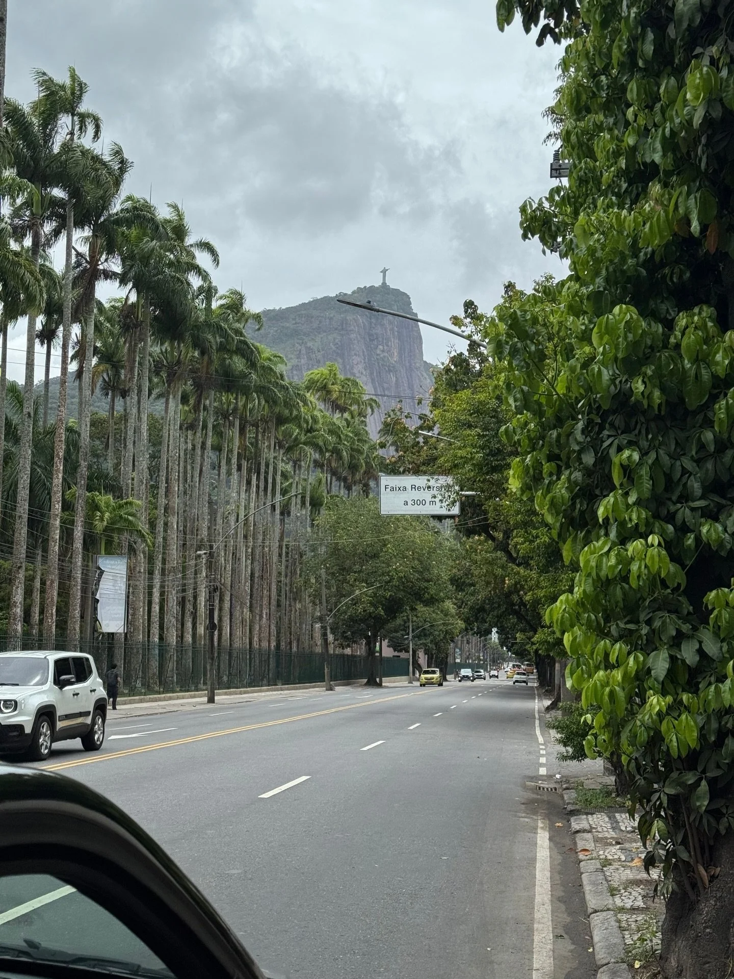 A slow Sunday morning at Jardim Bot&acirc;nico, Rio de Janeiro 🍃

Matcha latte in hand, tropical vibes and a beautiful walk towards Parque Lage.

Along the way, hidden streets and cozy coffee spots where it&rsquo;s impossible not to stop - and yes, 