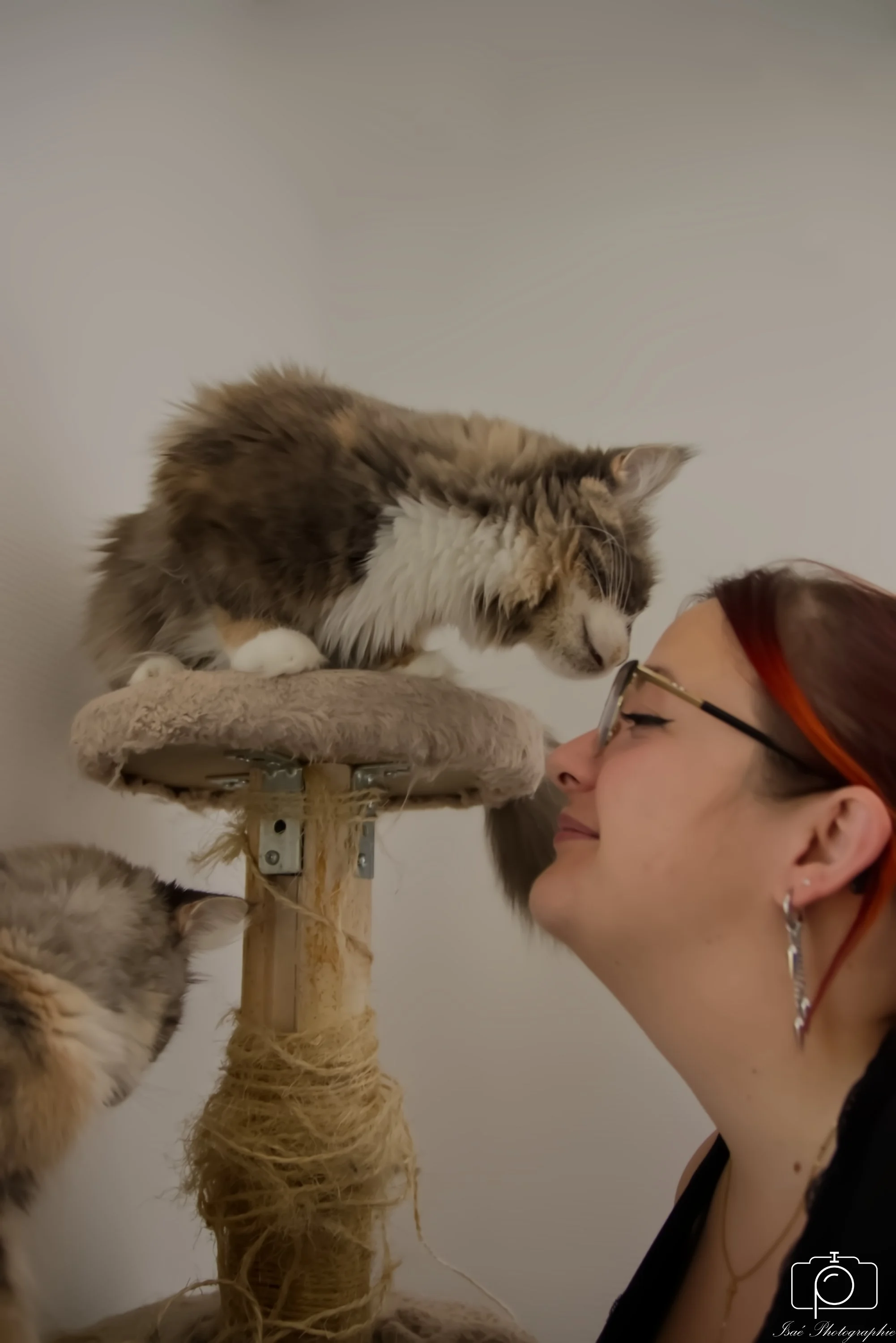 Chats (8).jpg