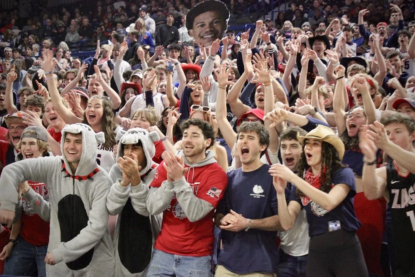 Cheering crowd at a sports event, featuring people in costumes, team shirts, and with raised arms, showing excitement and support.