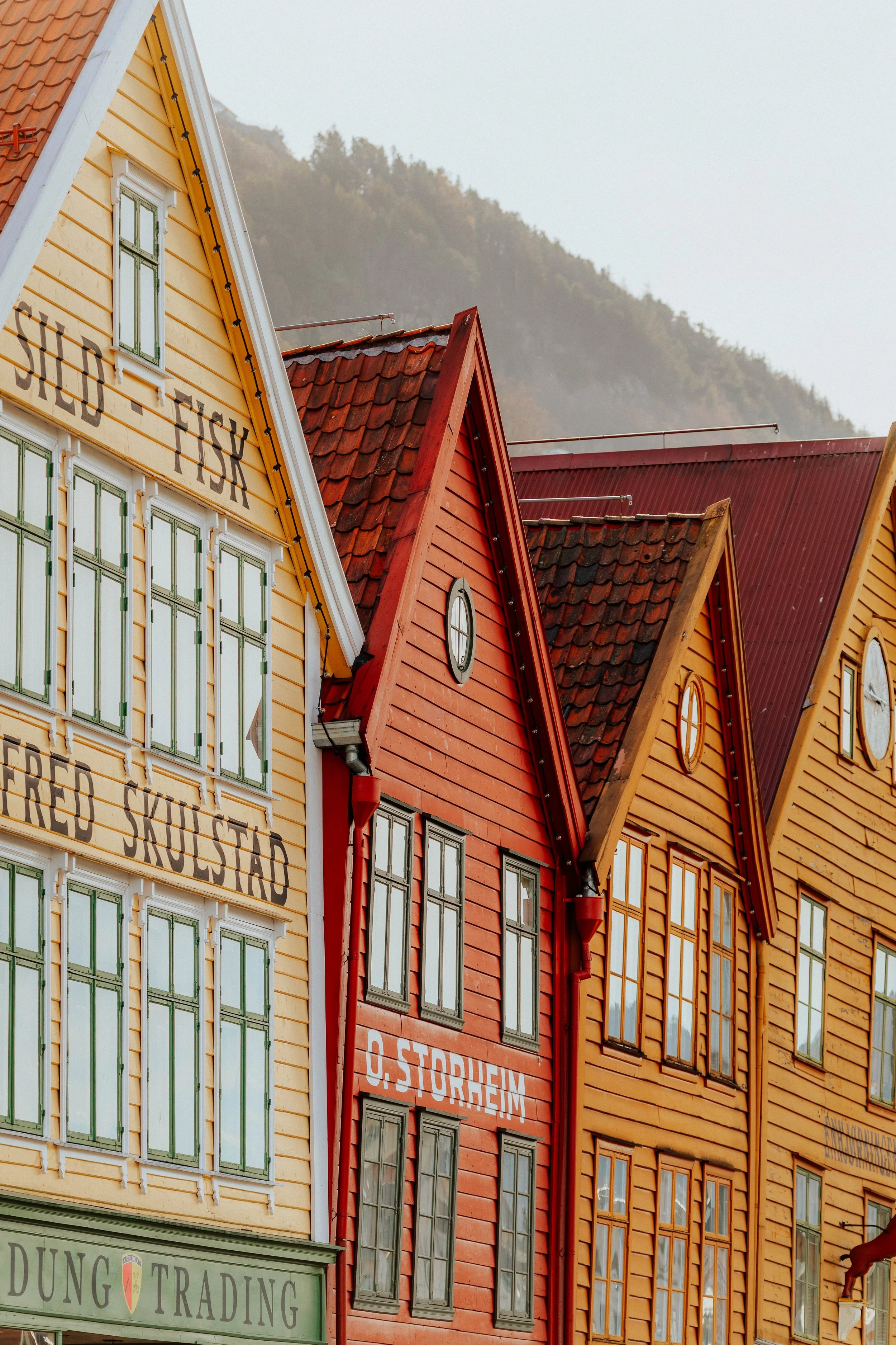Bunte Holzhäuser an einer Straße, im Hintergrund Berge und bewölkter Himmel.
