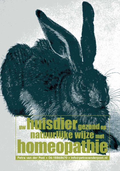 FLYER FOR PETS