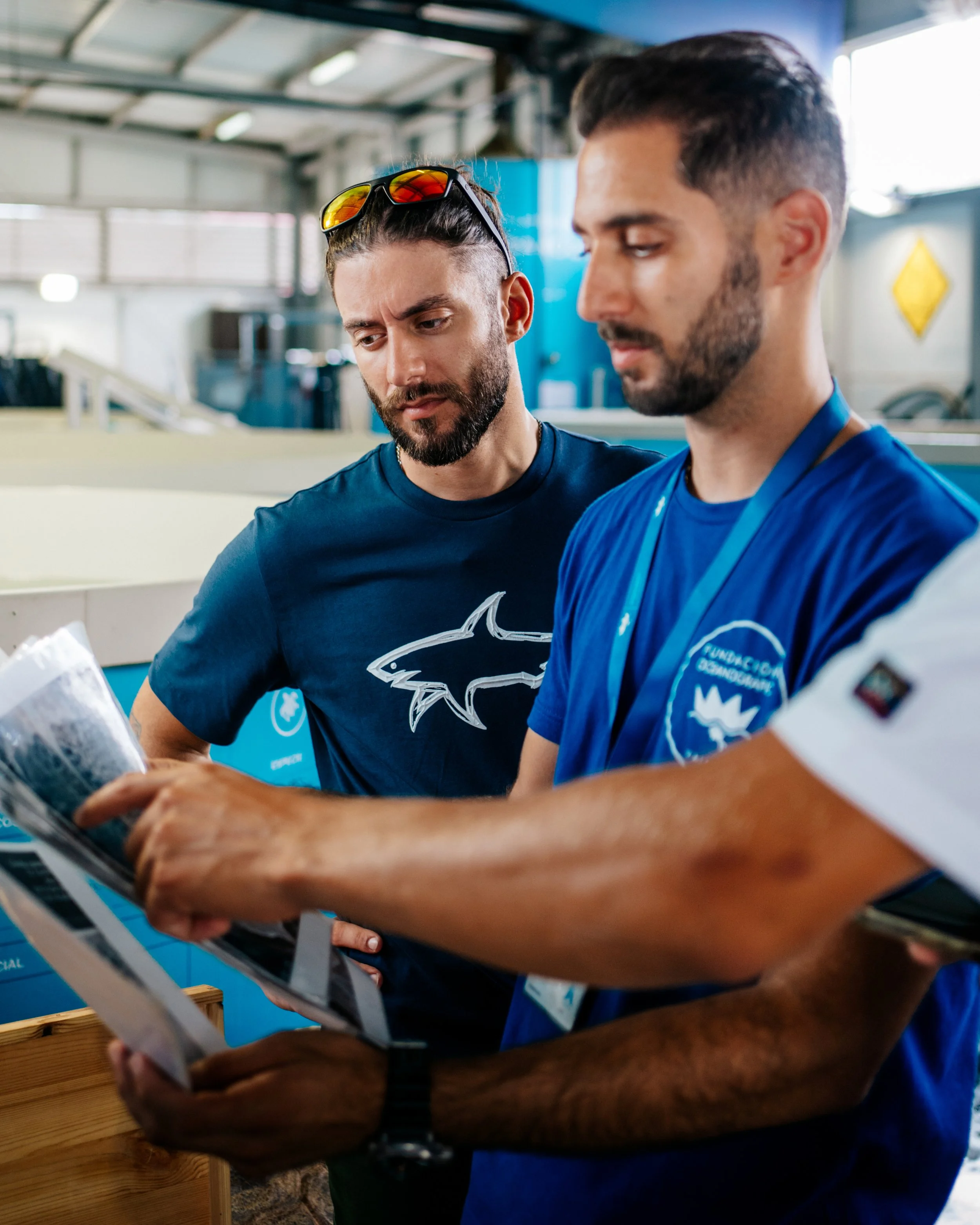 Workshop biologia marina