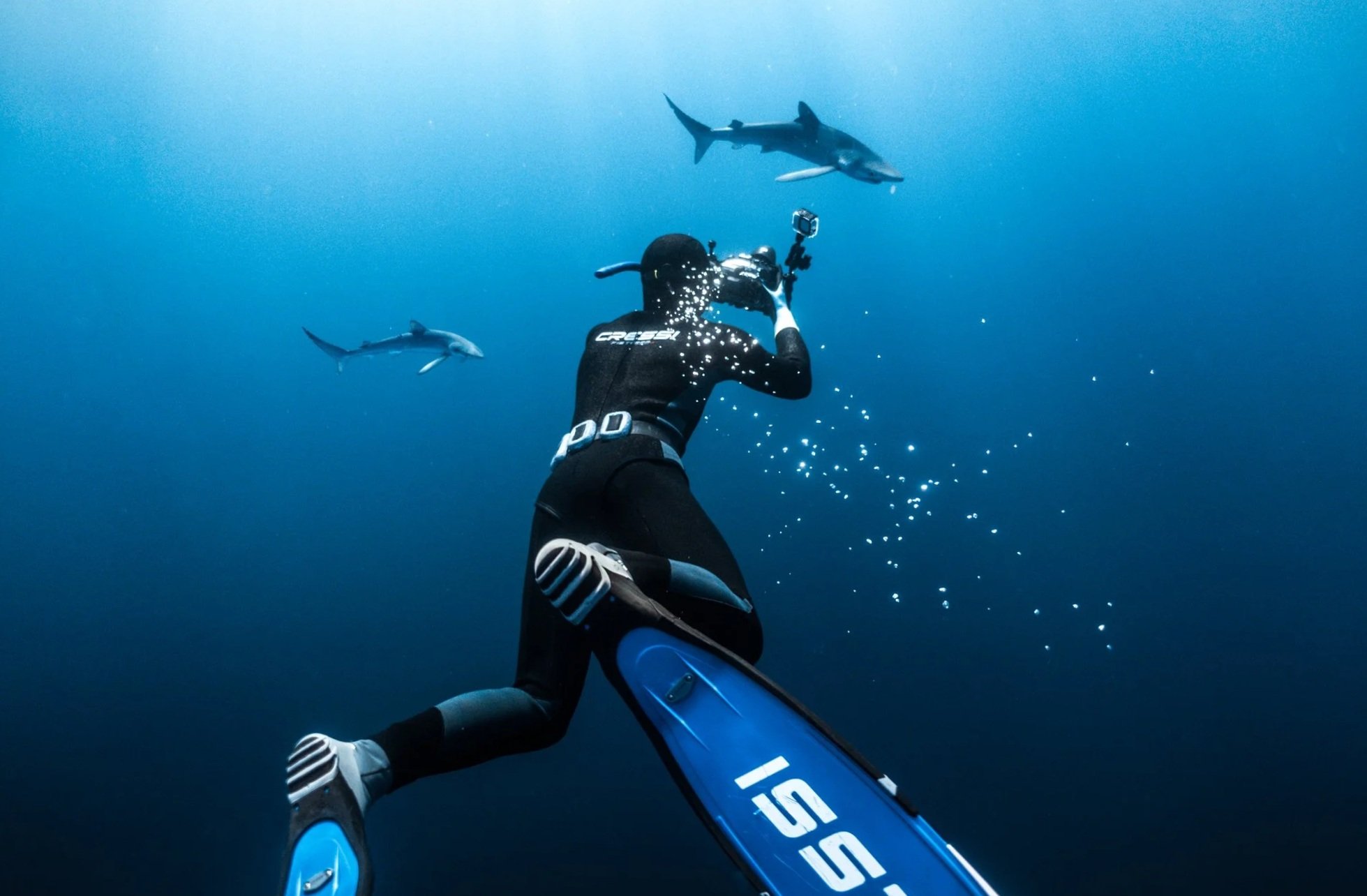 Creazione contenuti subacquei