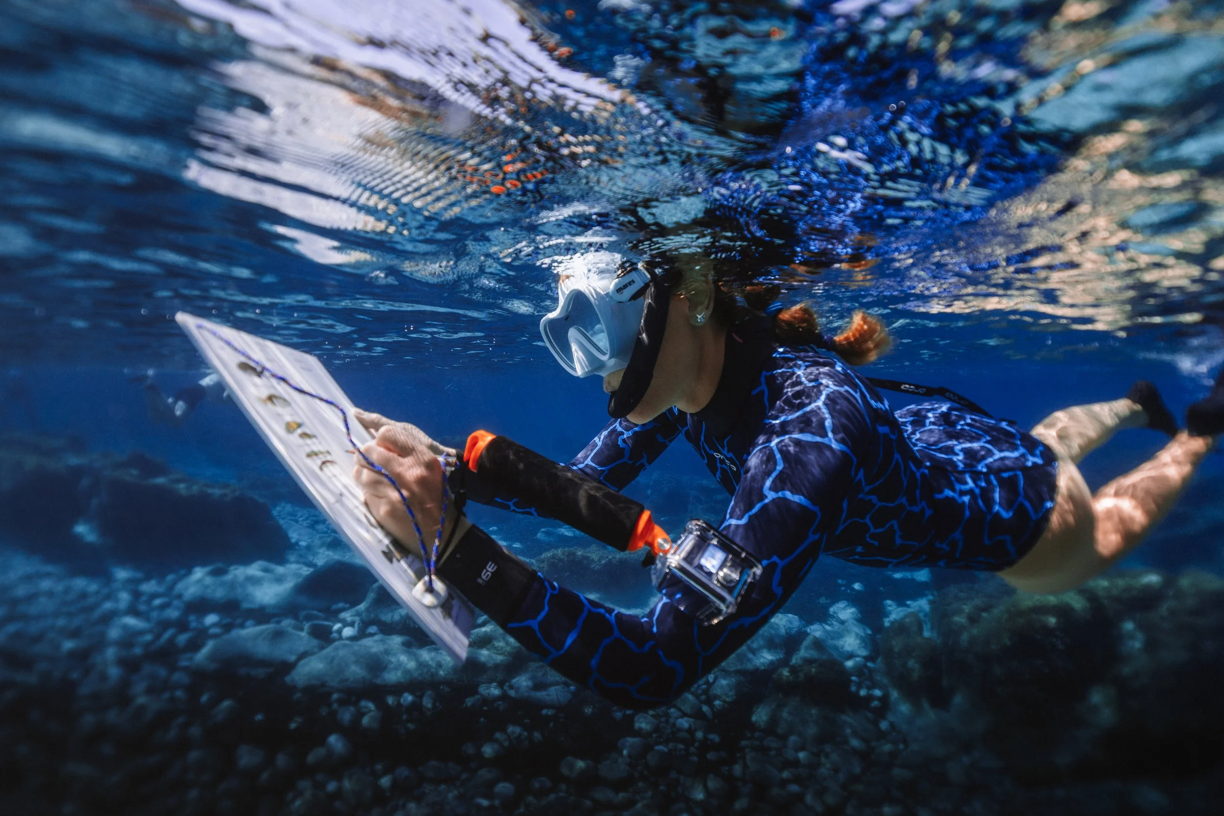 Biologia marina "workshop e tecniche di studio sott'acqua”