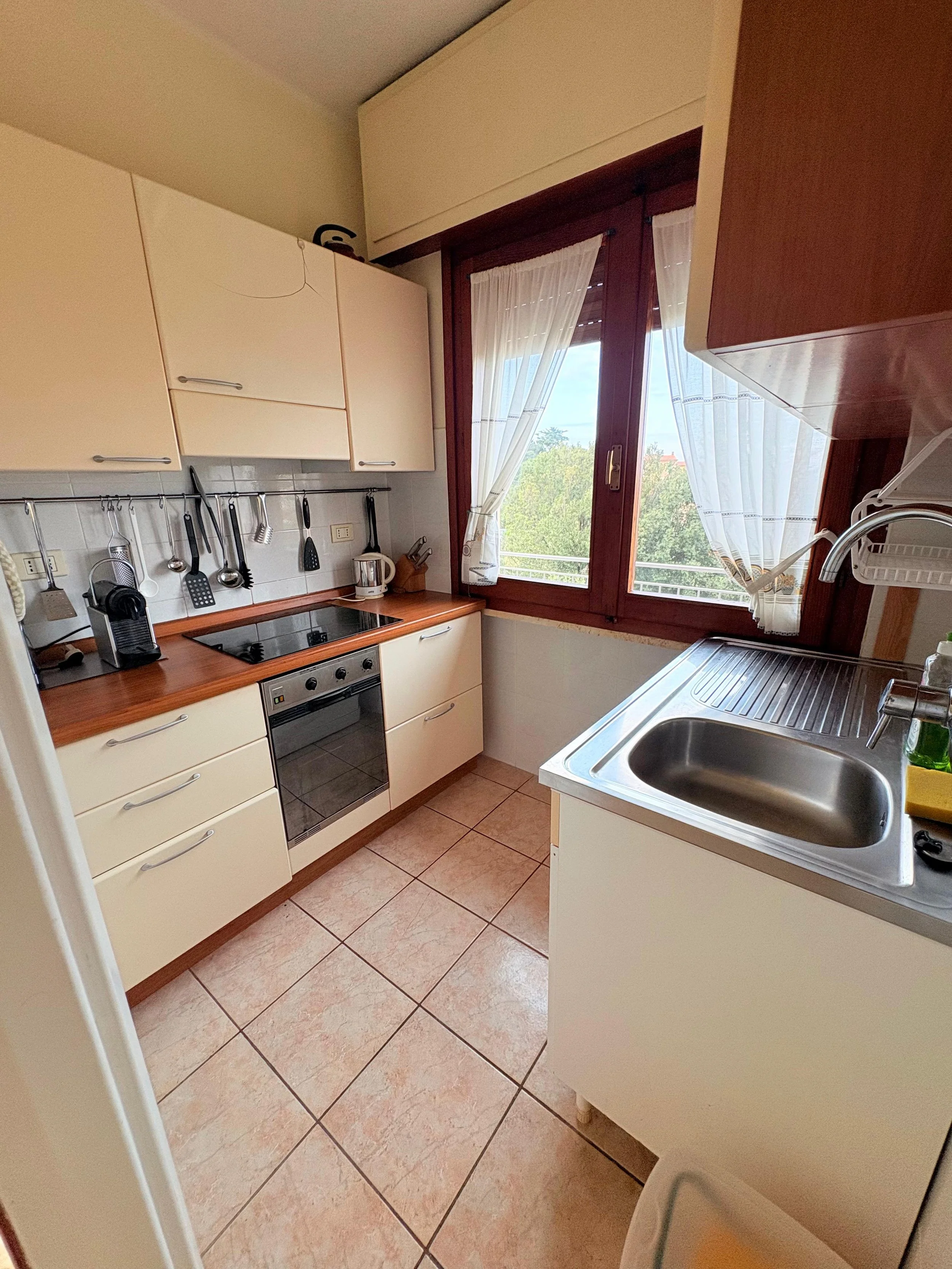 WhatsApp Image 2026-03-07 at 17.02.40.jpeg