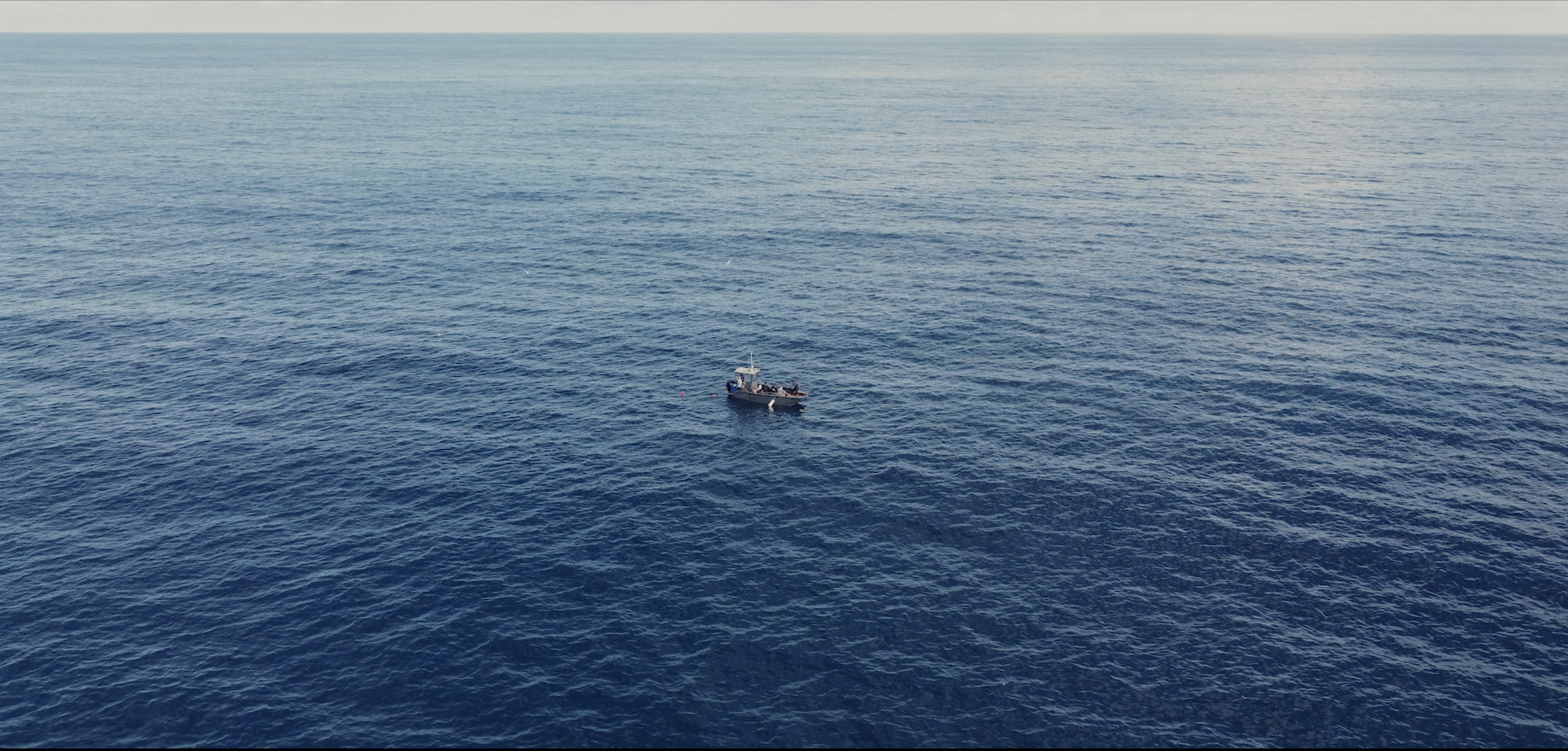 Screenshot 2026-03-06 alle 11.46.19.png