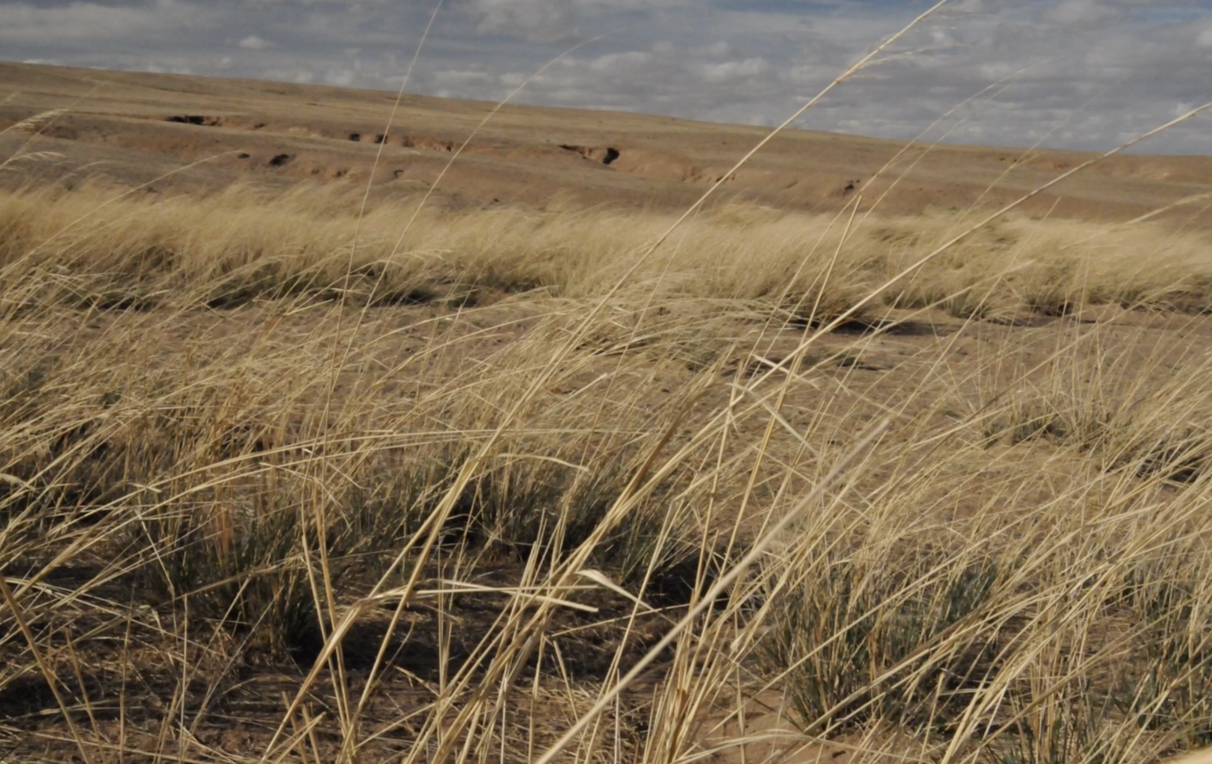 截屏2025-12-30 18.52.14.png