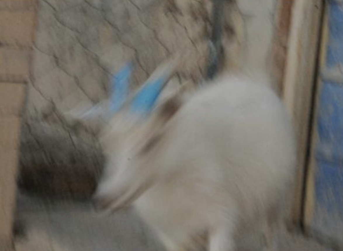 截屏2025-12-30 12.53.49.png