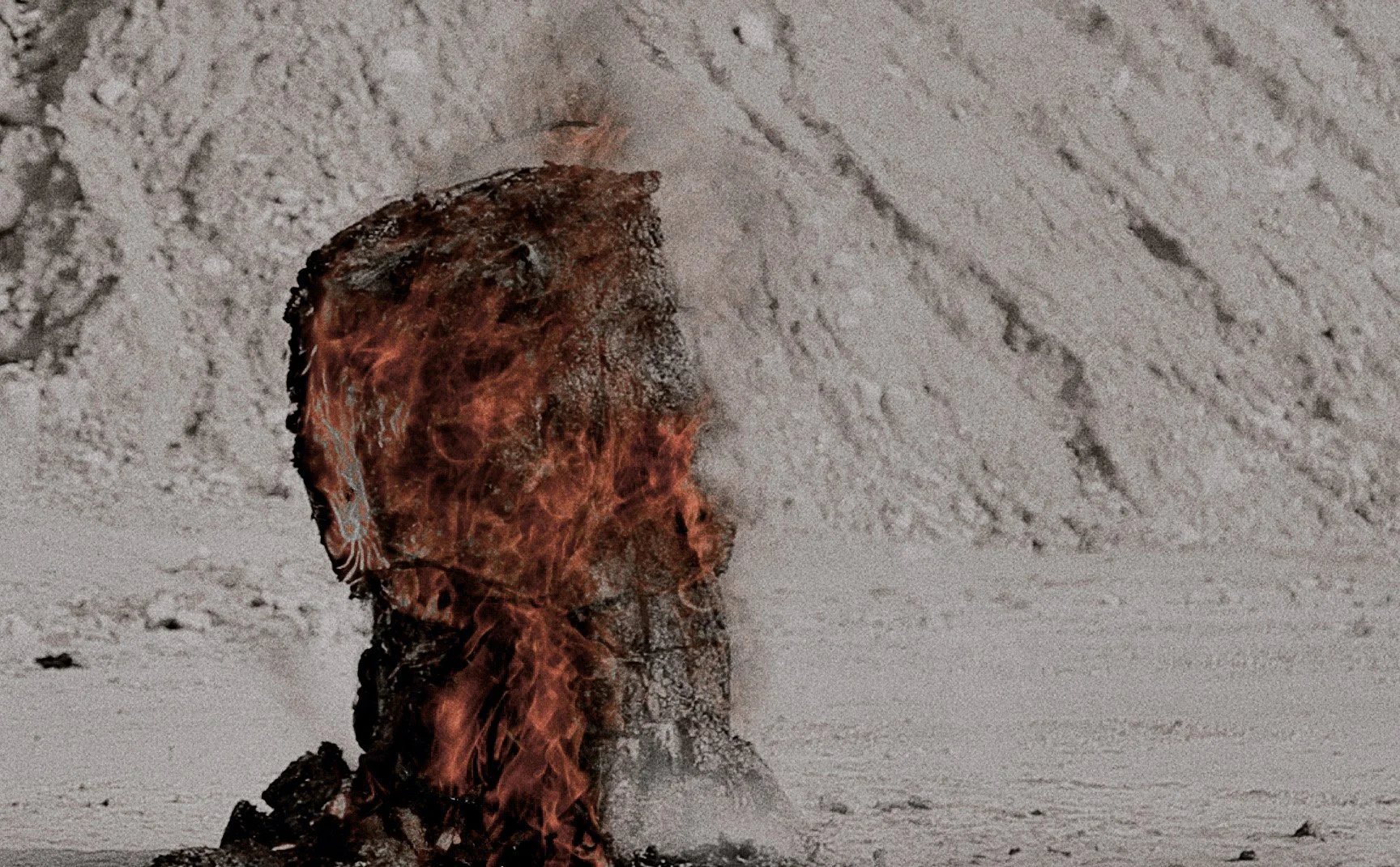 Compendium of Materia Medica.JPG