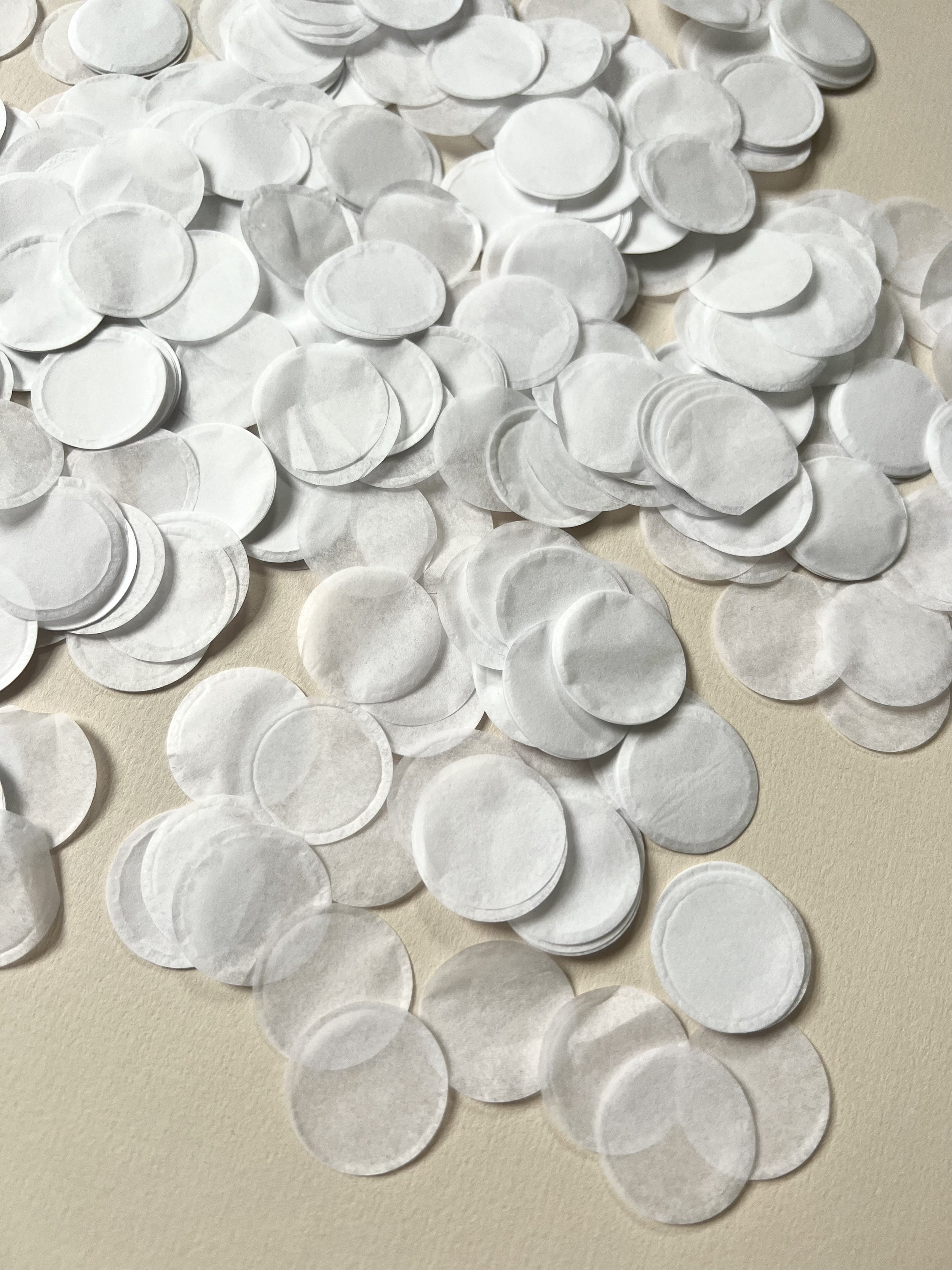 Premium White Paper Confetti.jpeg