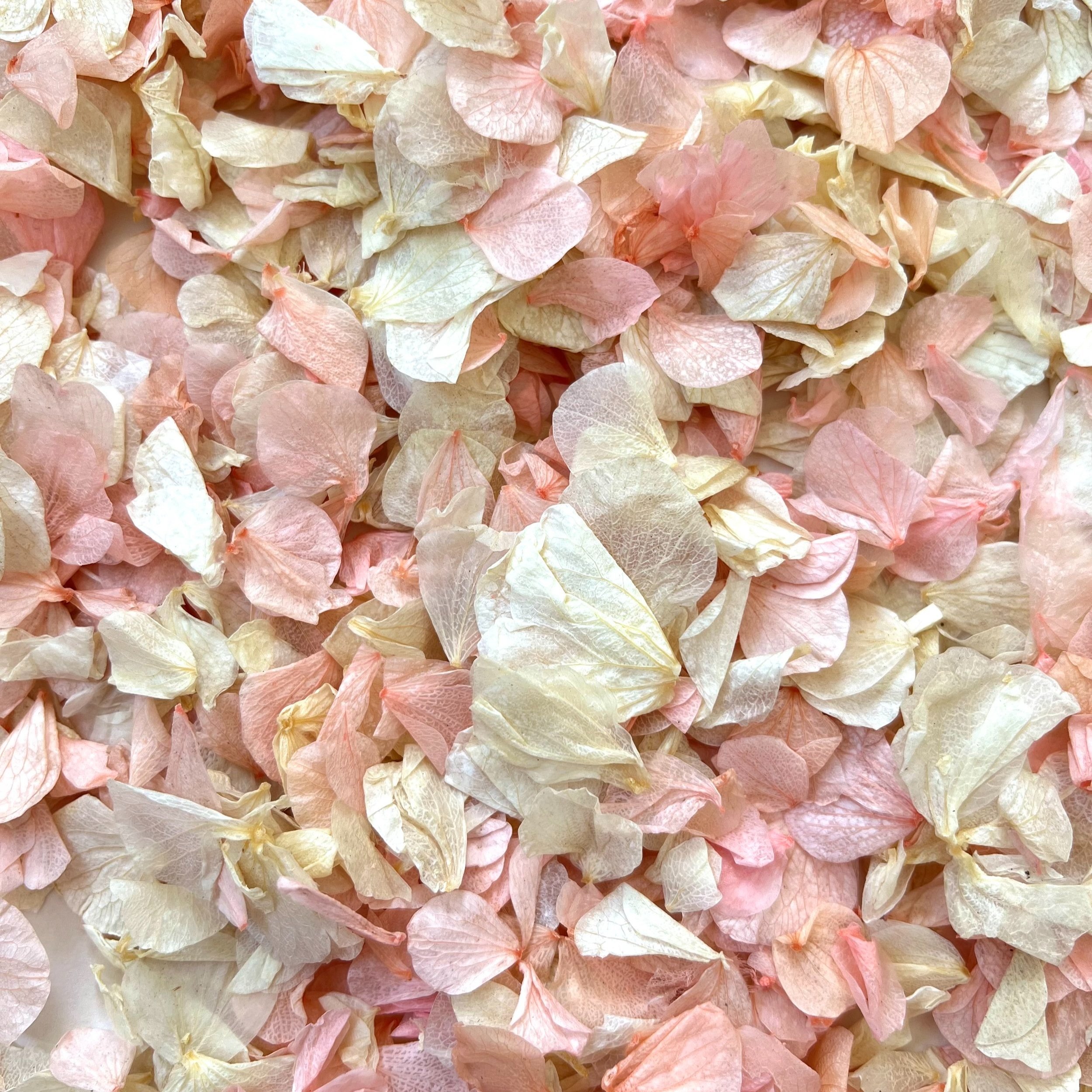 Natural & Biodegradable Pink Blossom Wedding Confetti
