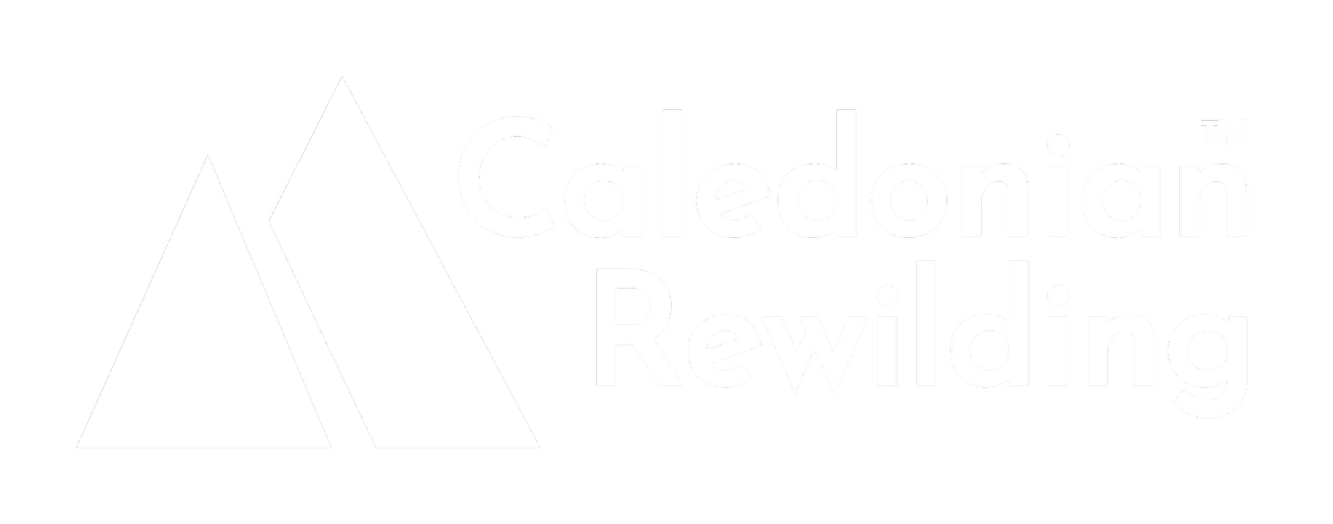 Caledonian Rewilding