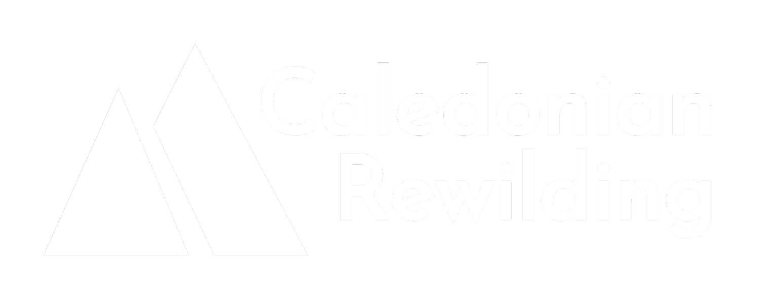 Caledonian Rewilding