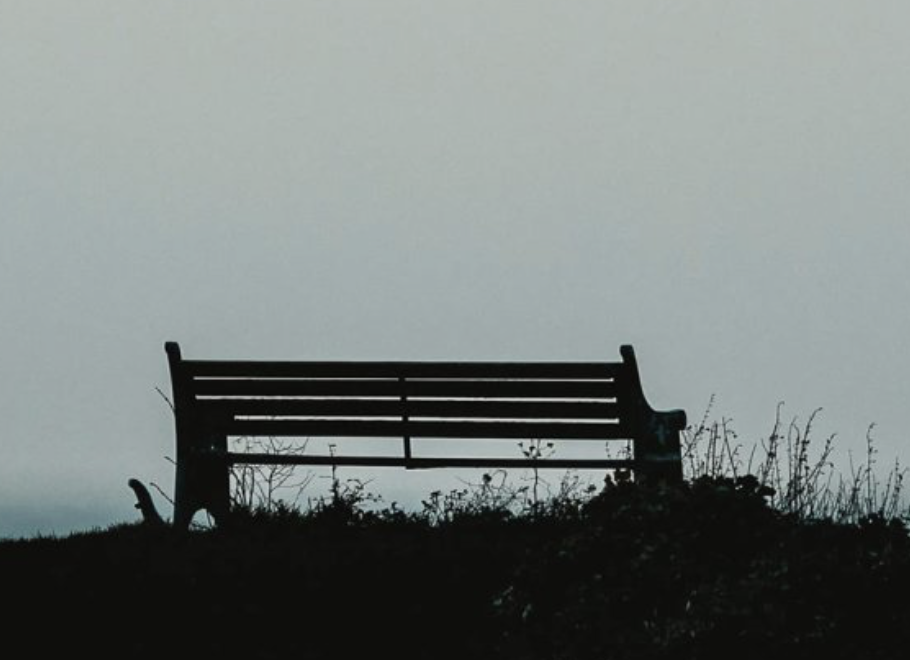 Grieving through the Stinging: Navigating the Journey through Grief