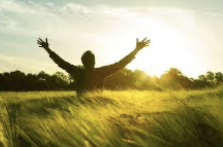 A Year of Surrender: Surrendering to God, for His Purpose, and from Distractions