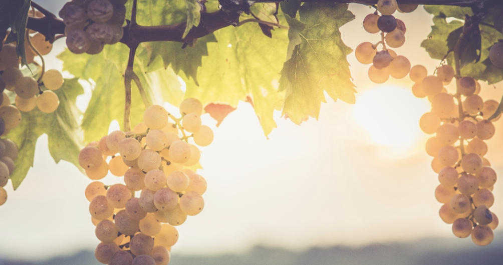 Residing in Abiding: Three Ways to Remain in God’s Love