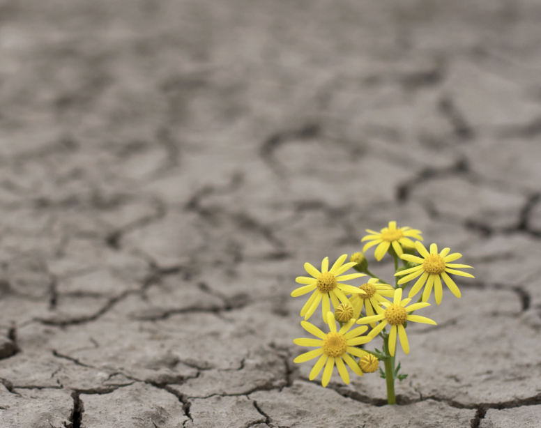 There’ll be Days Like This: Three ways to “Take Heart”