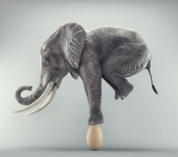 Eggshells and Elephants: Overcoming Soul Stifling Silence