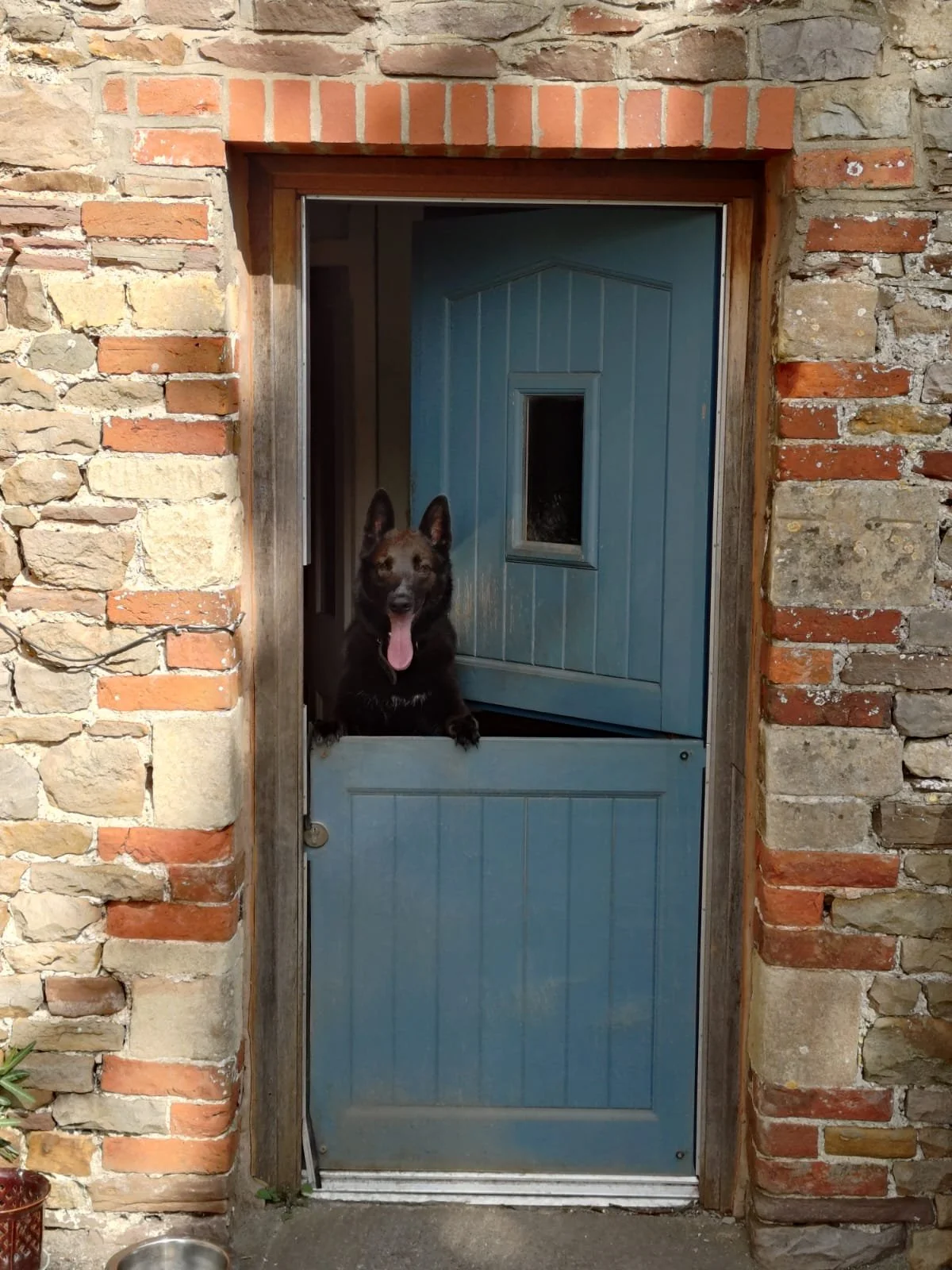 retreat Anubis.jpeg