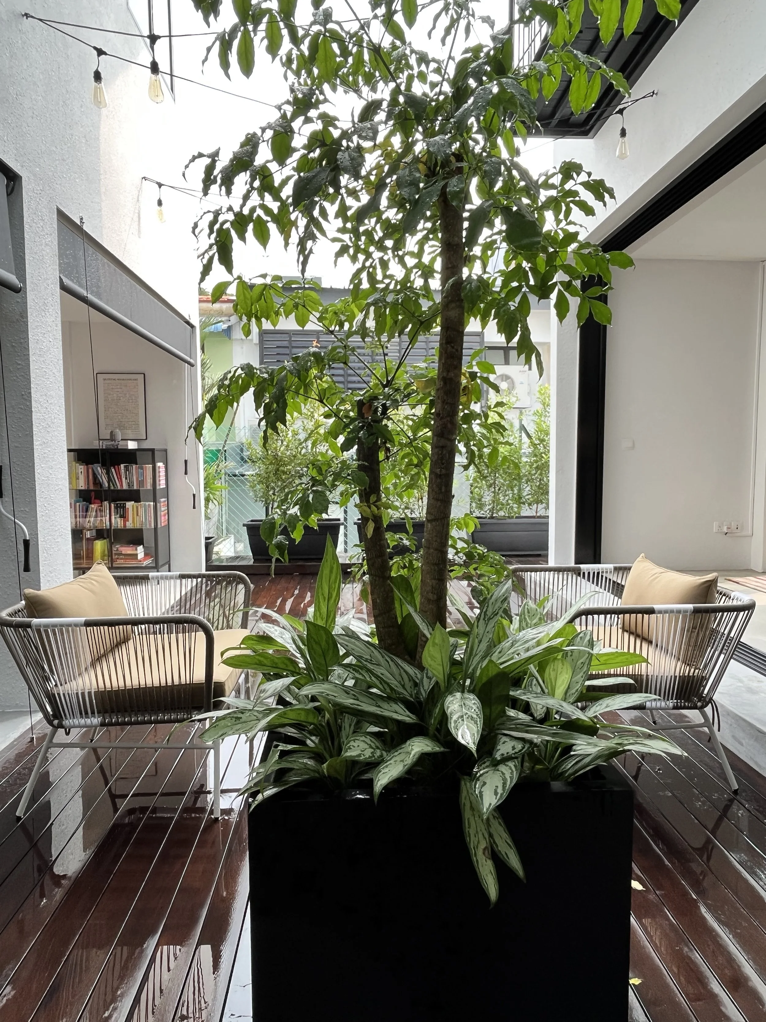 After Inner Courtyard -10.jpeg