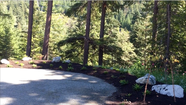 Landscape-Wedgewoods16.png