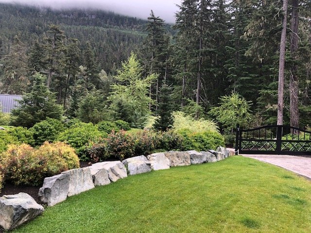 Landscape-Wedgewoods1.jpg