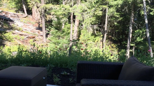 Landscape-Wedgewoods18.png