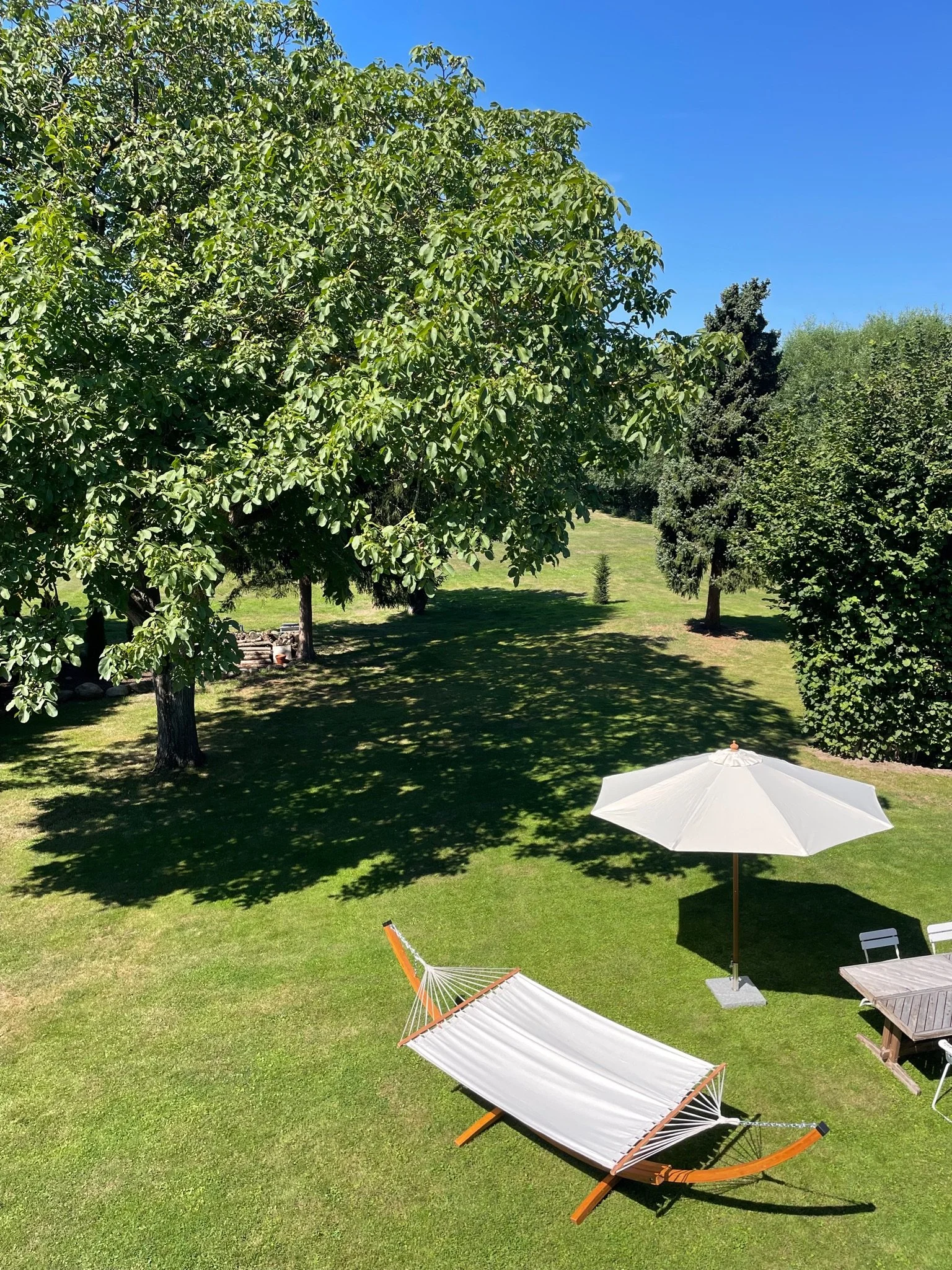 Weitläufige Gartenfläche mit altem Baumbestand in der Elbe04 Location am Elbdeich