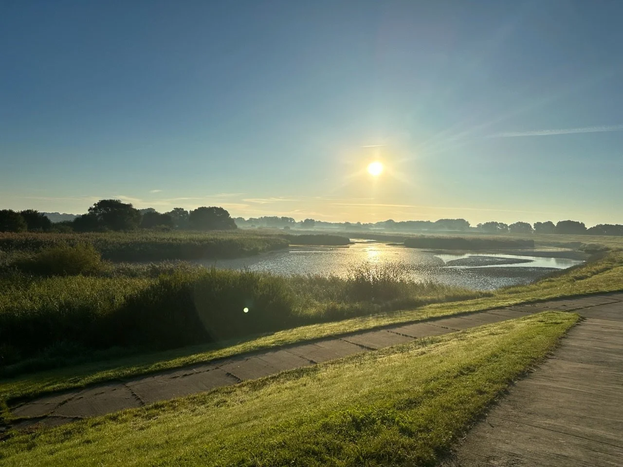Blick vom Elbdeich auf die Elbe bei tief stehender Sonne nahe der Elbe04 Location
