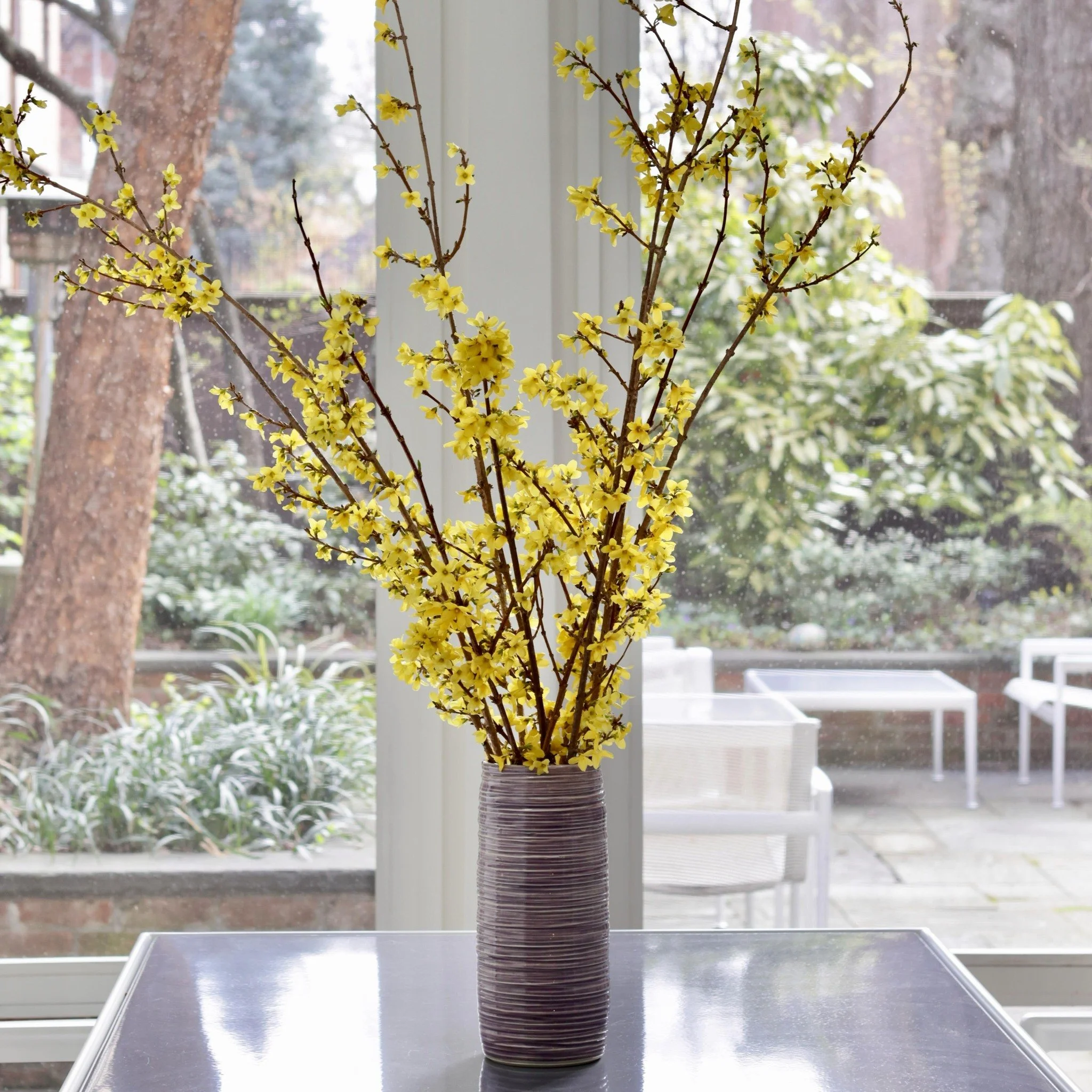 I love the pop of the yellow forsythia against the light purple of this large groove-carved vase. So happy to see the city coming back to life after a dreary winter!

#ceramics #wheelthrown #powerhouse_arts #handmade #brooklyn #pottersofinstagram
#po