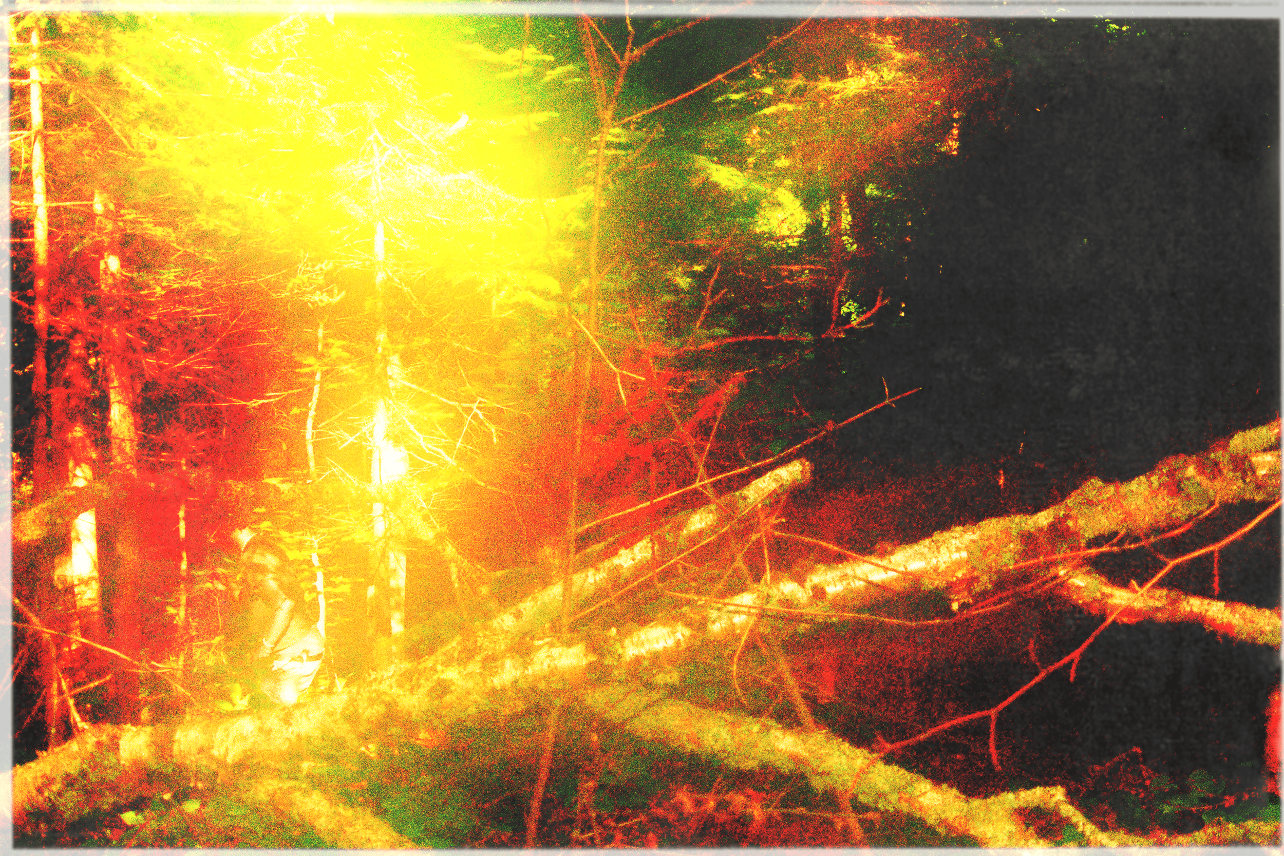 DSC06283-min.png