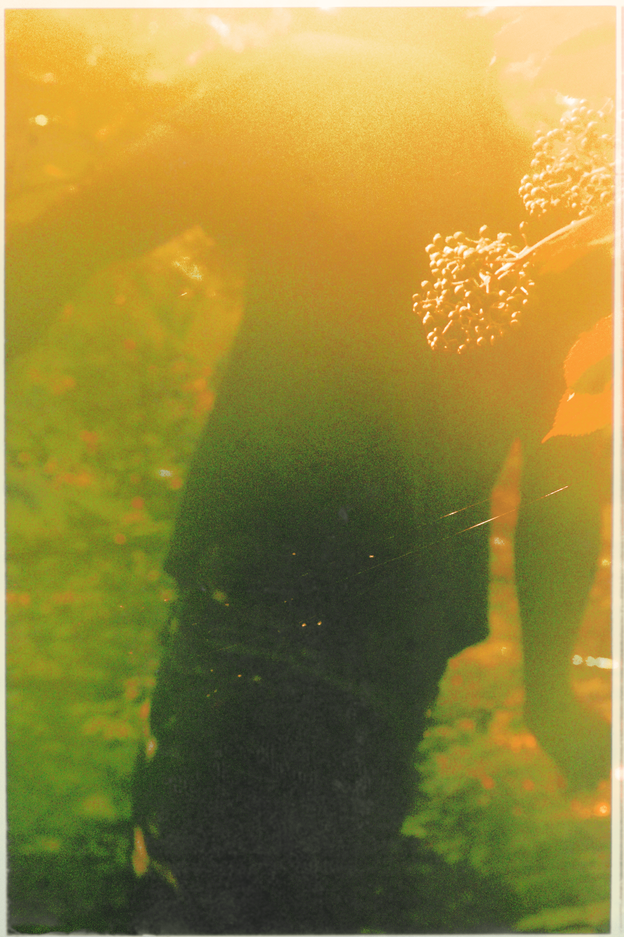DSC06230-min.png