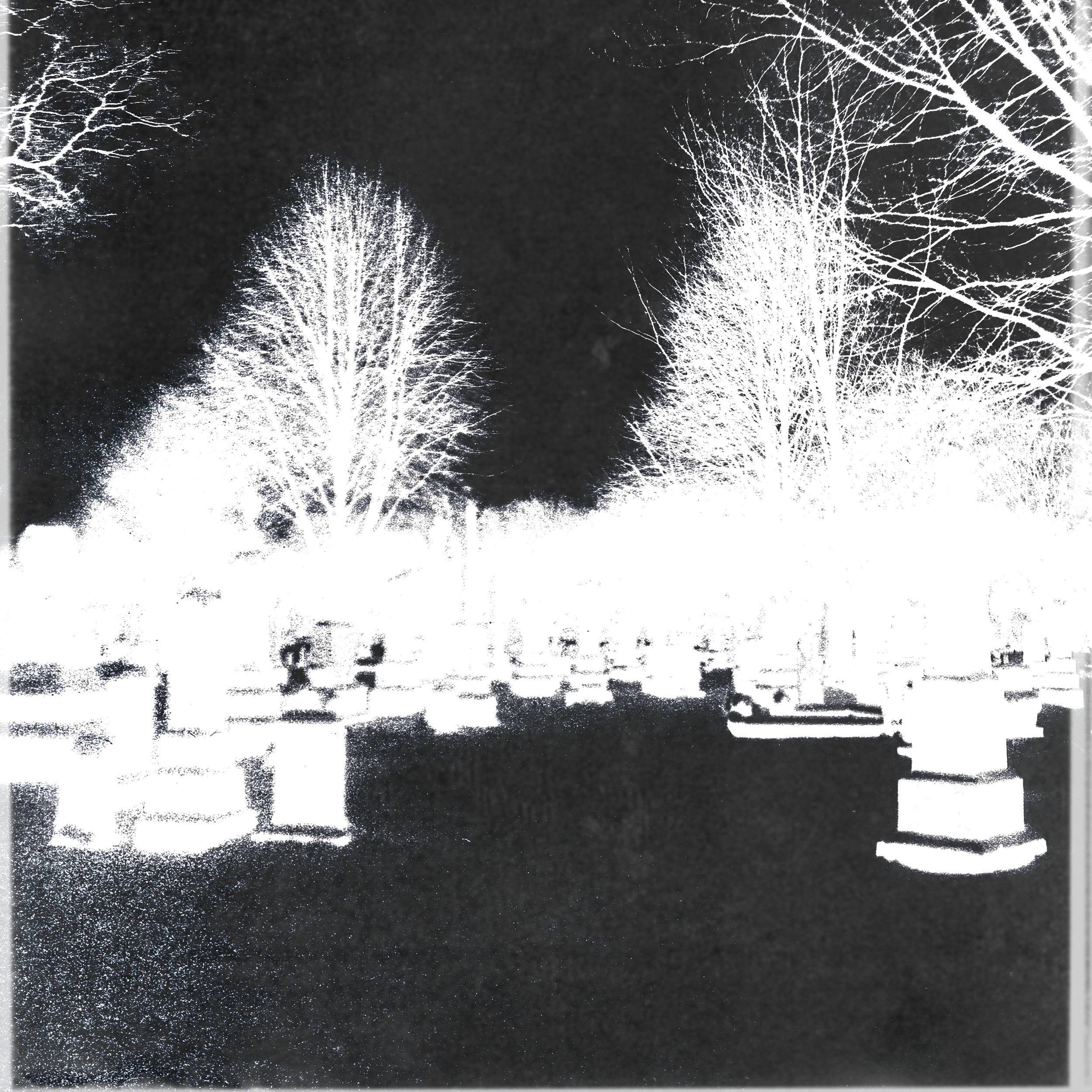 IMG_8123.png