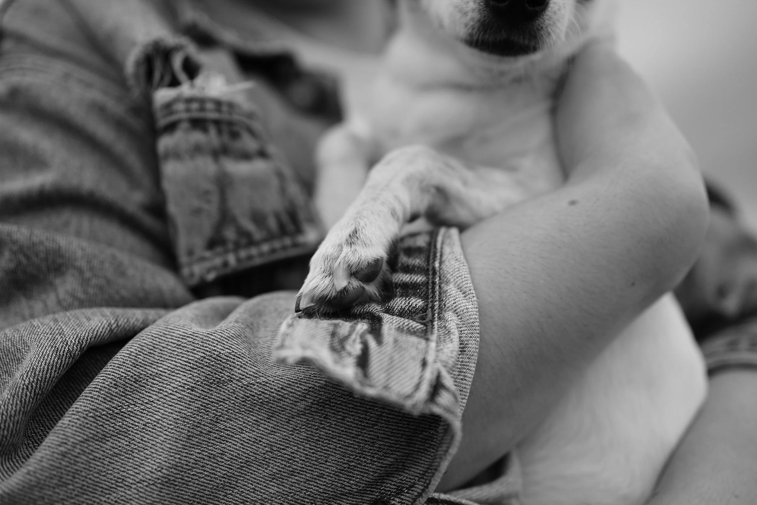 Vivian&Darby_10Nov2025_Marta_Mostardini-106 copy.jpg