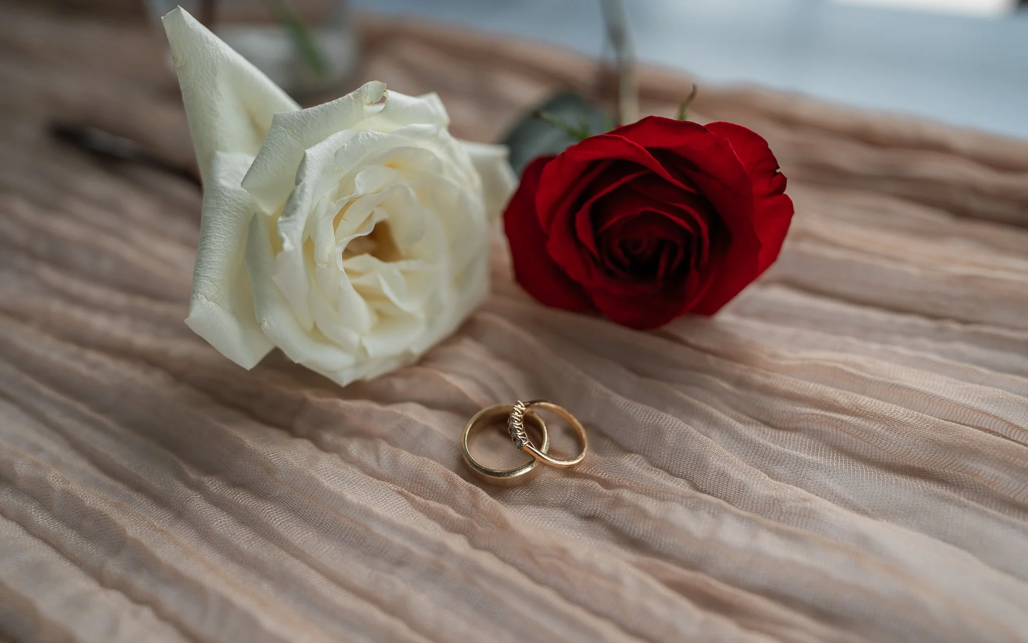 Arieana & Pedro's Washington Park Boat House Micro Wedding-3.jpg