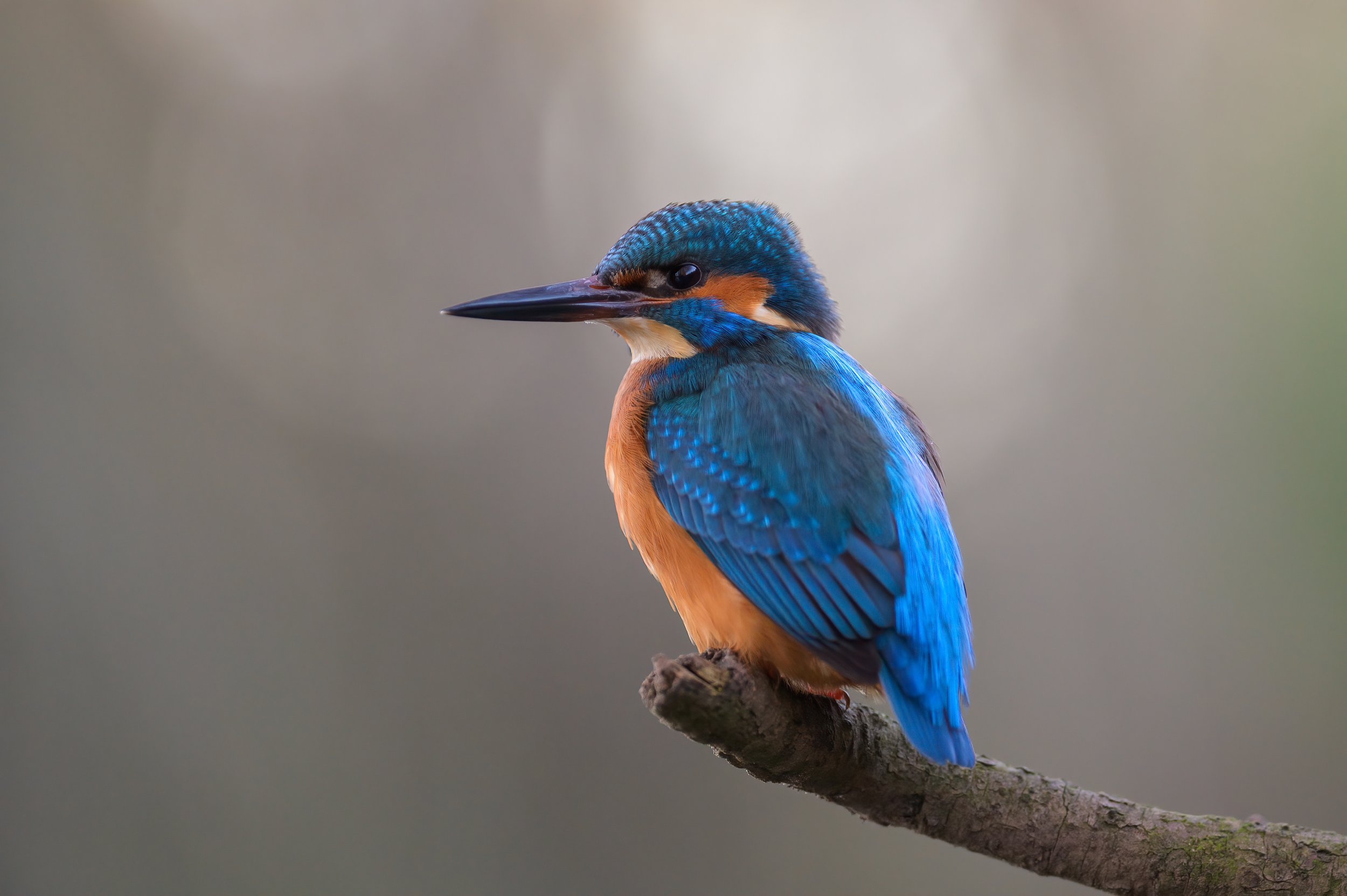 DSC_0130-Edit.jpg