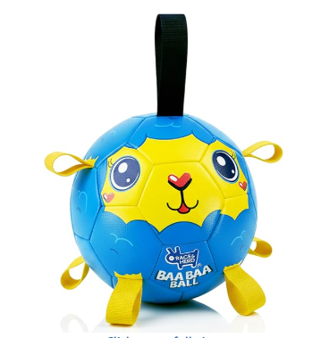 8" Jolly Soccer Ball with Straps